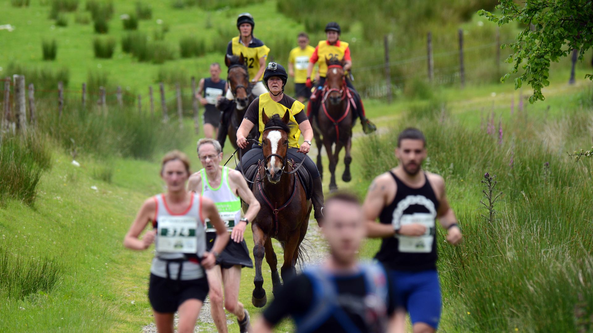 Man Versus Horse Marathon
