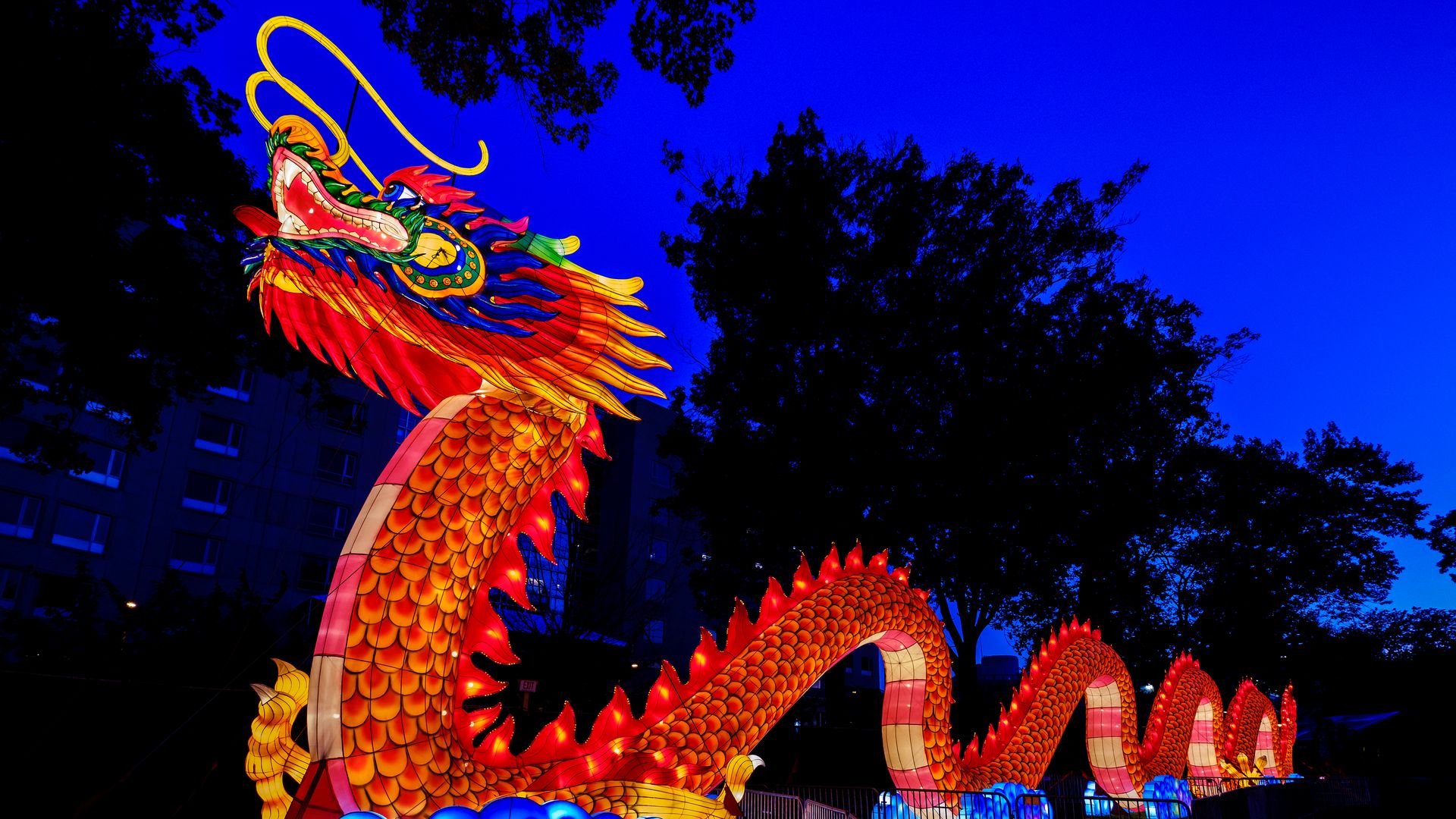 A dragon lantern at the Philadelphia Chinese Lantern Festival 