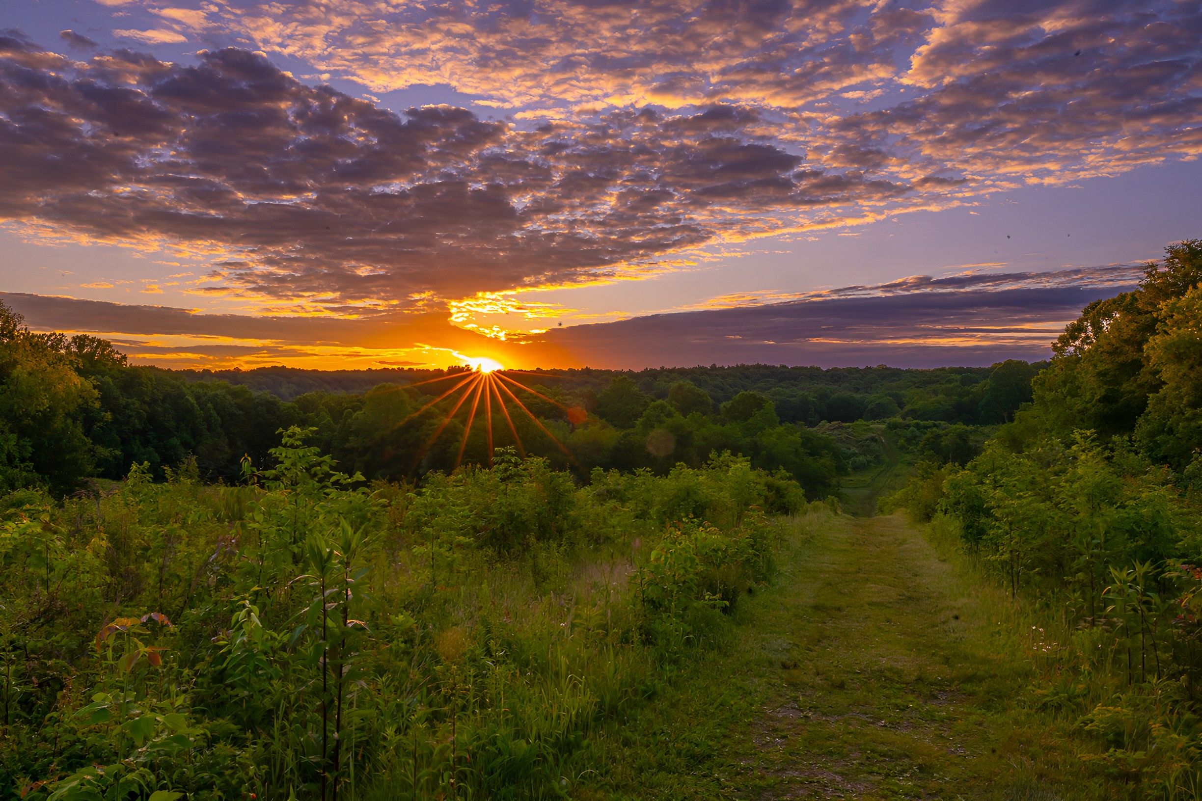 Sunset over a forested landscape as the orange sun dips near the horizon, creating a starburst through trees. Pink, purple, and orange clouds fill the sky, with a dirt path in the foreground.
