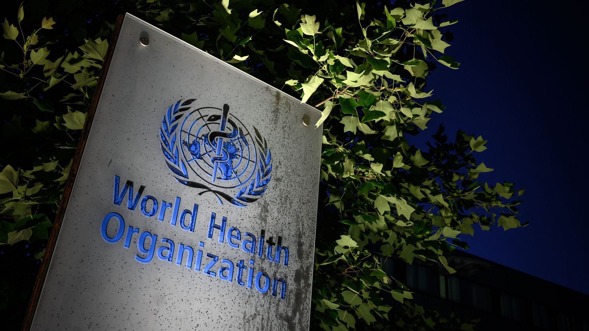 World Health Organization.