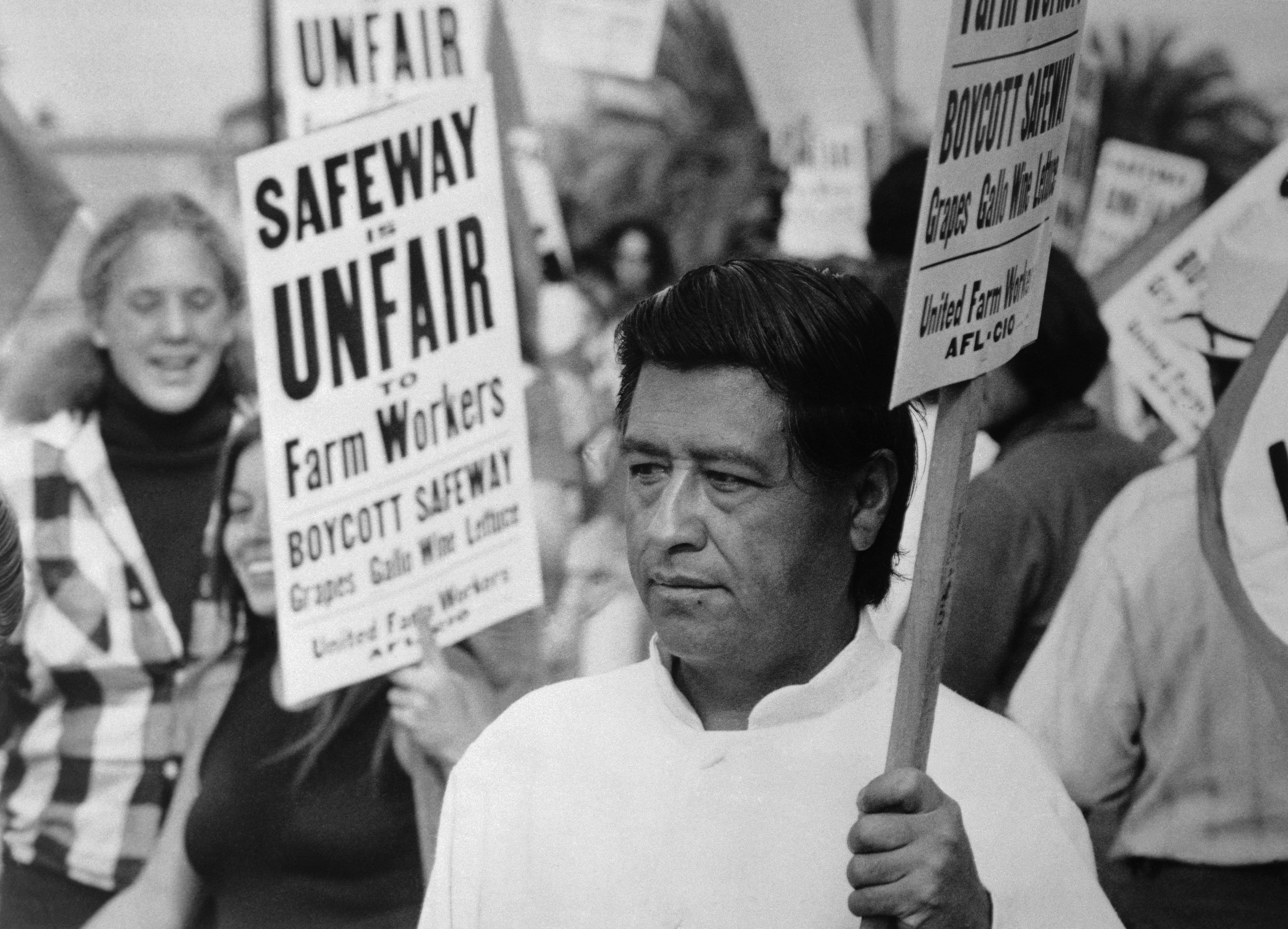 Labor leader Cesar Chavez picketing in San Diego in 1973. Photo: Bettmann / Contributor via Getty Images