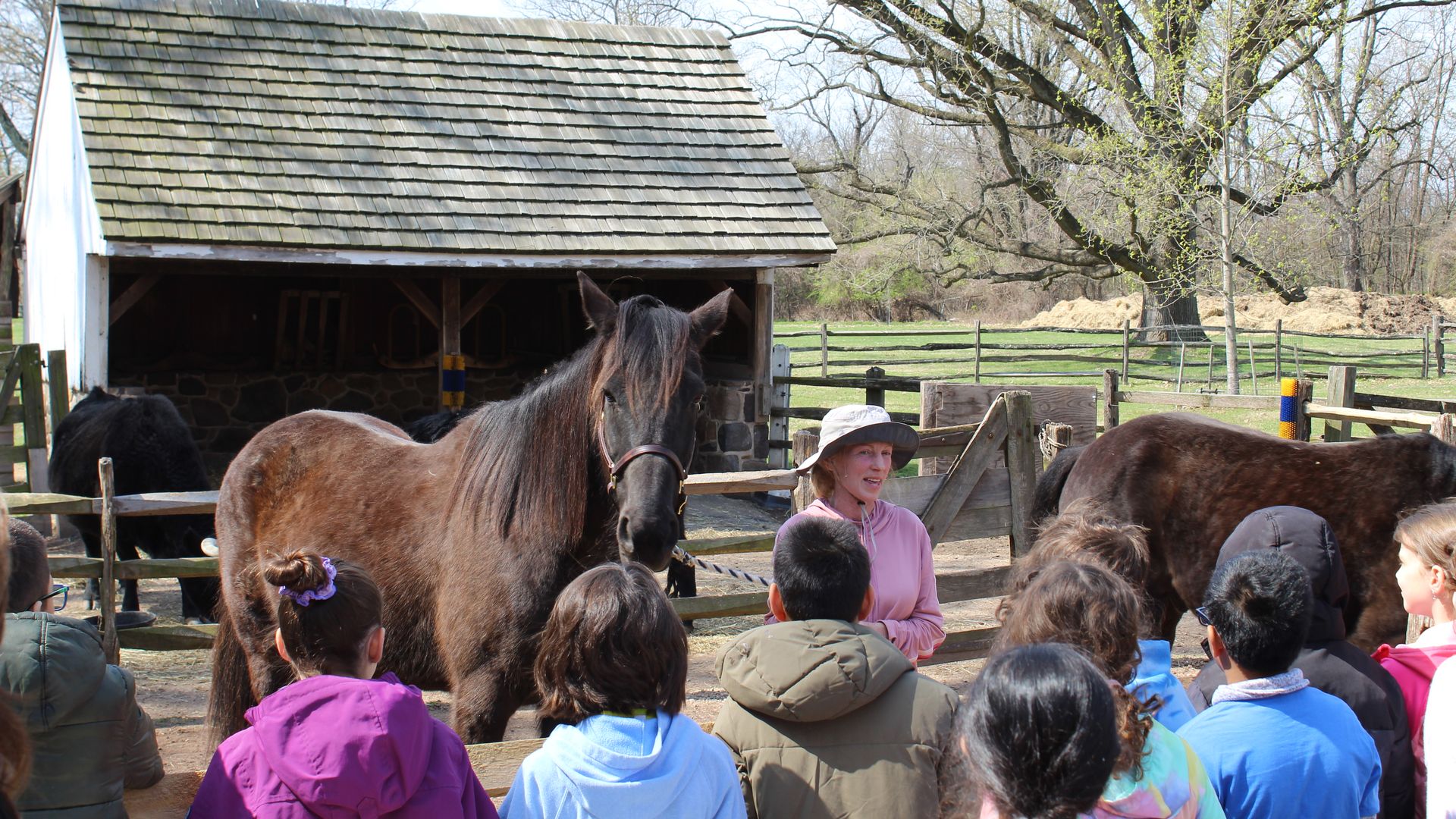 Retired racehorse Norway Hanover with a group of children at Pennsbury Manor.