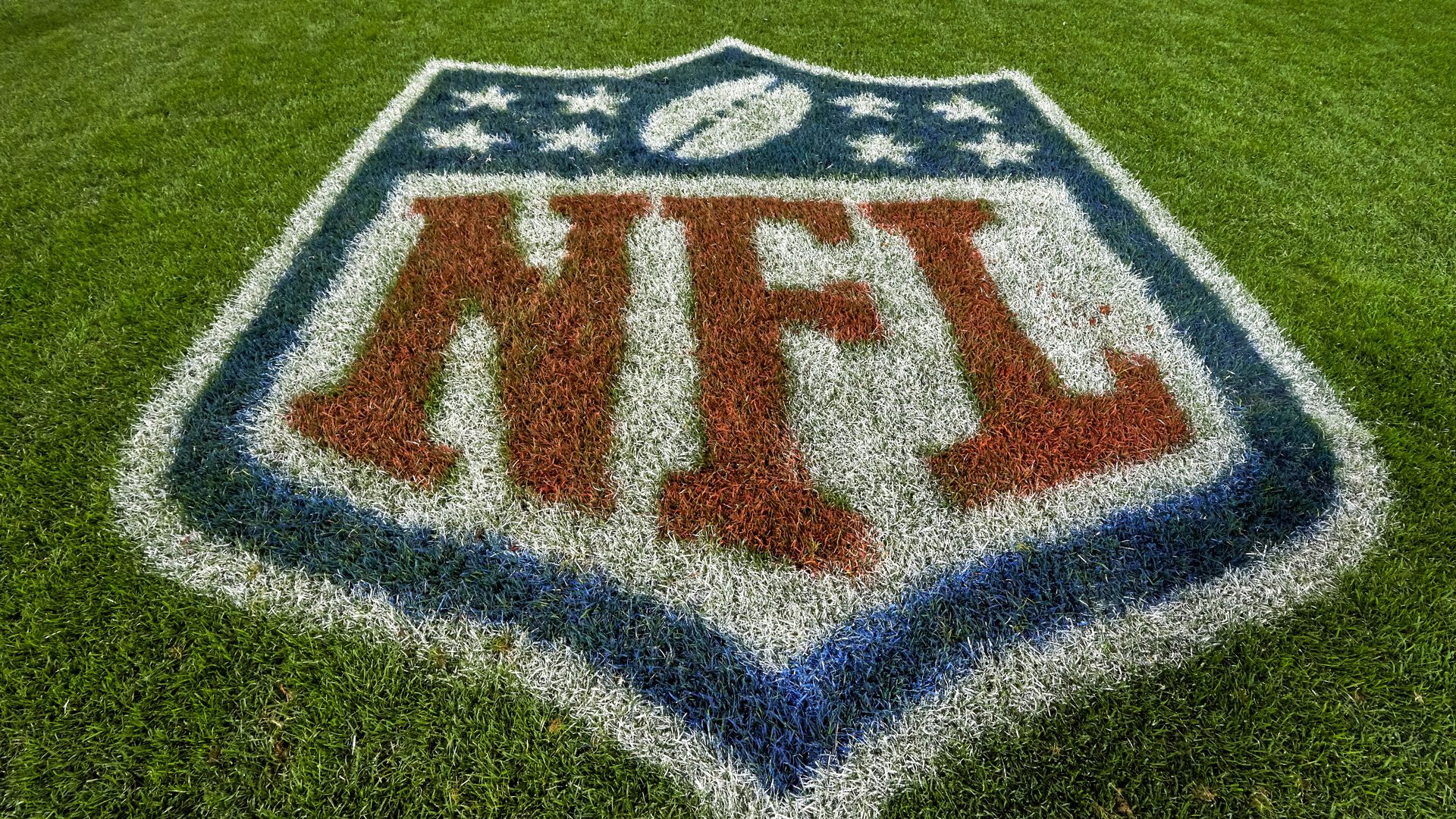 The NFL's logo