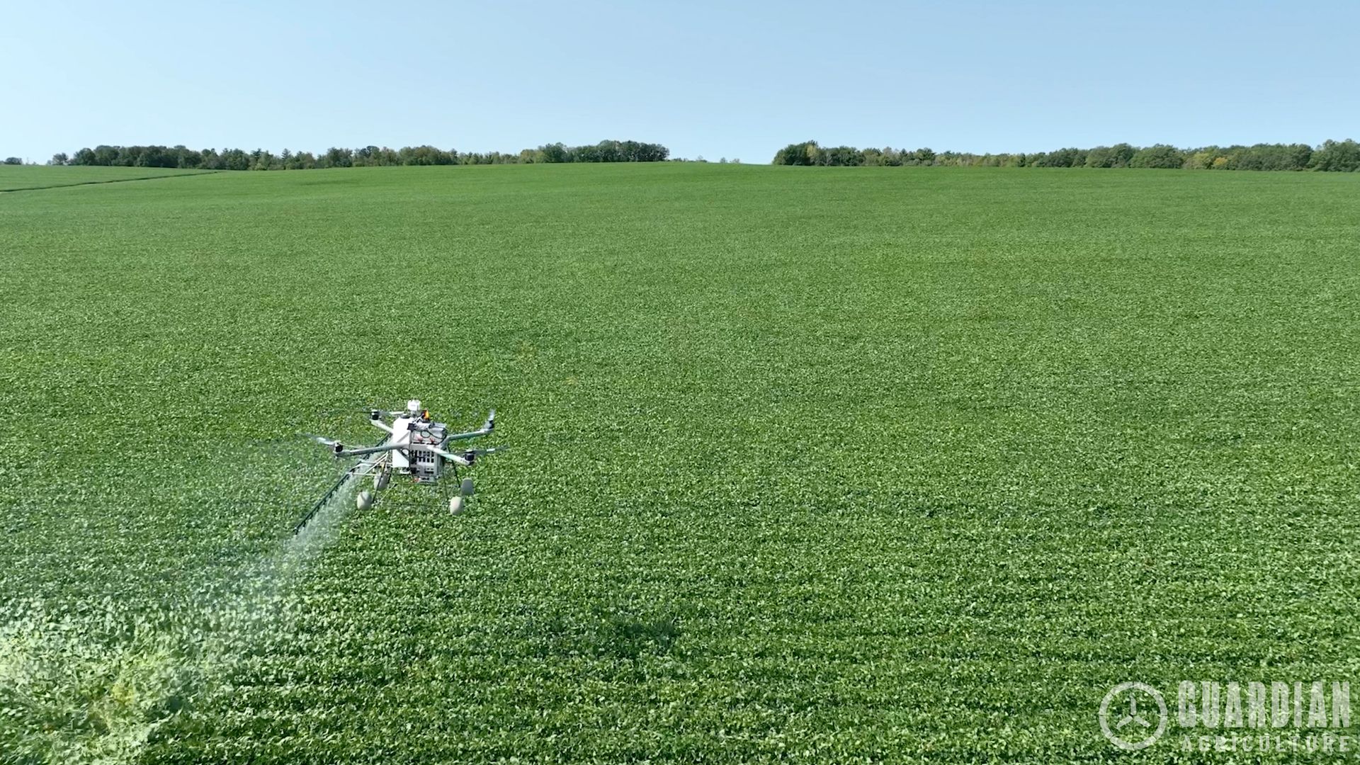 An electric, autonomous drone is spraying crops on a large farm. 