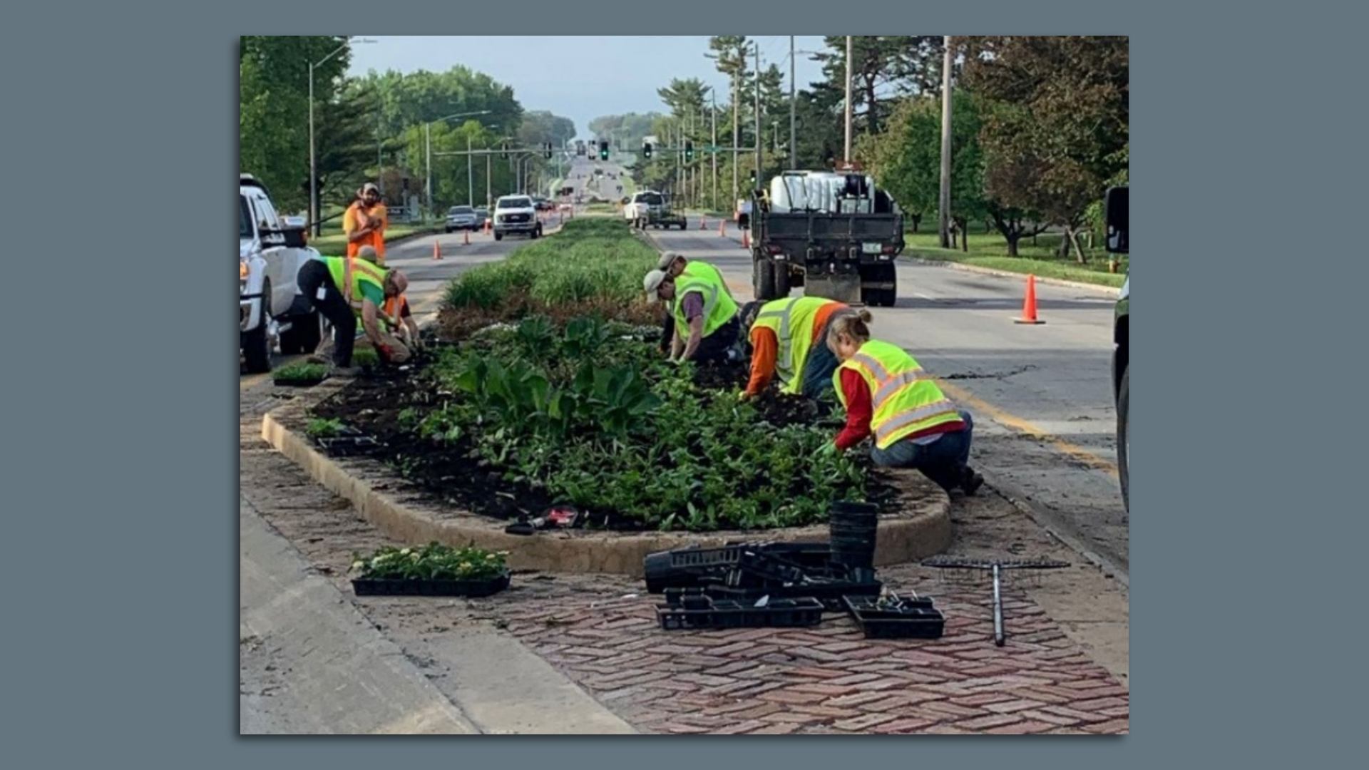 A photo of Fleur medians.