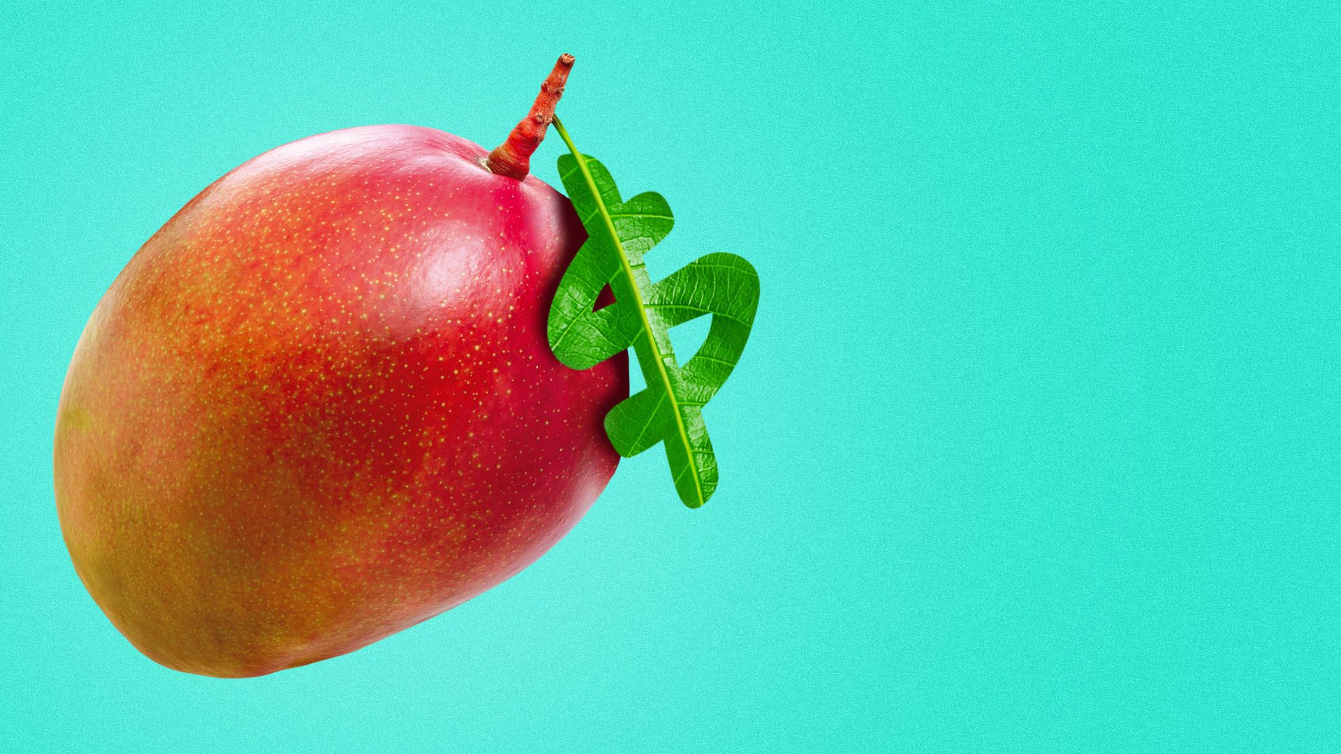 Illustration of a mango with a leaf in the shape of a dollar sign