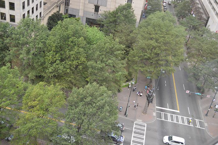 trade-and-tryon-from-above