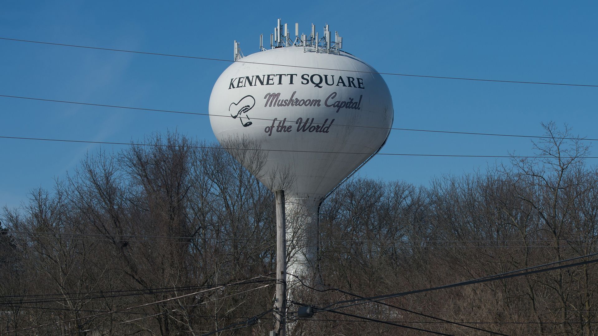 "Mushroom capital of the world" is displayed on town water tower in Kennett Square, Pennsylvania.