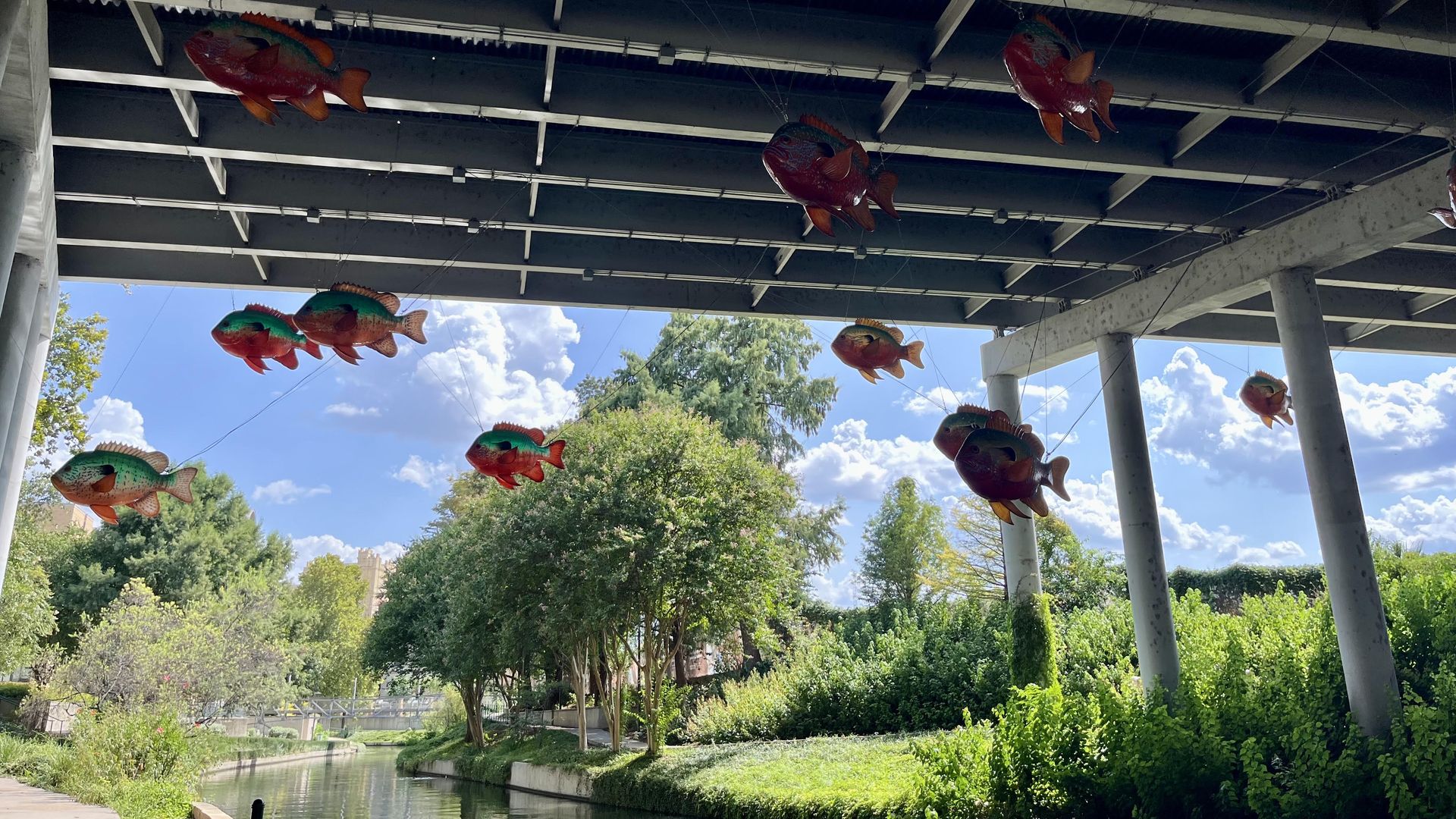 Under a gray elevated I-35 highway, colorful fish-shaped sculptures in blue and orange hang from wires above a narrow stretch of the San Antonio River near Pearl. Lush green trees and a blue sky with white clouds fill the background.