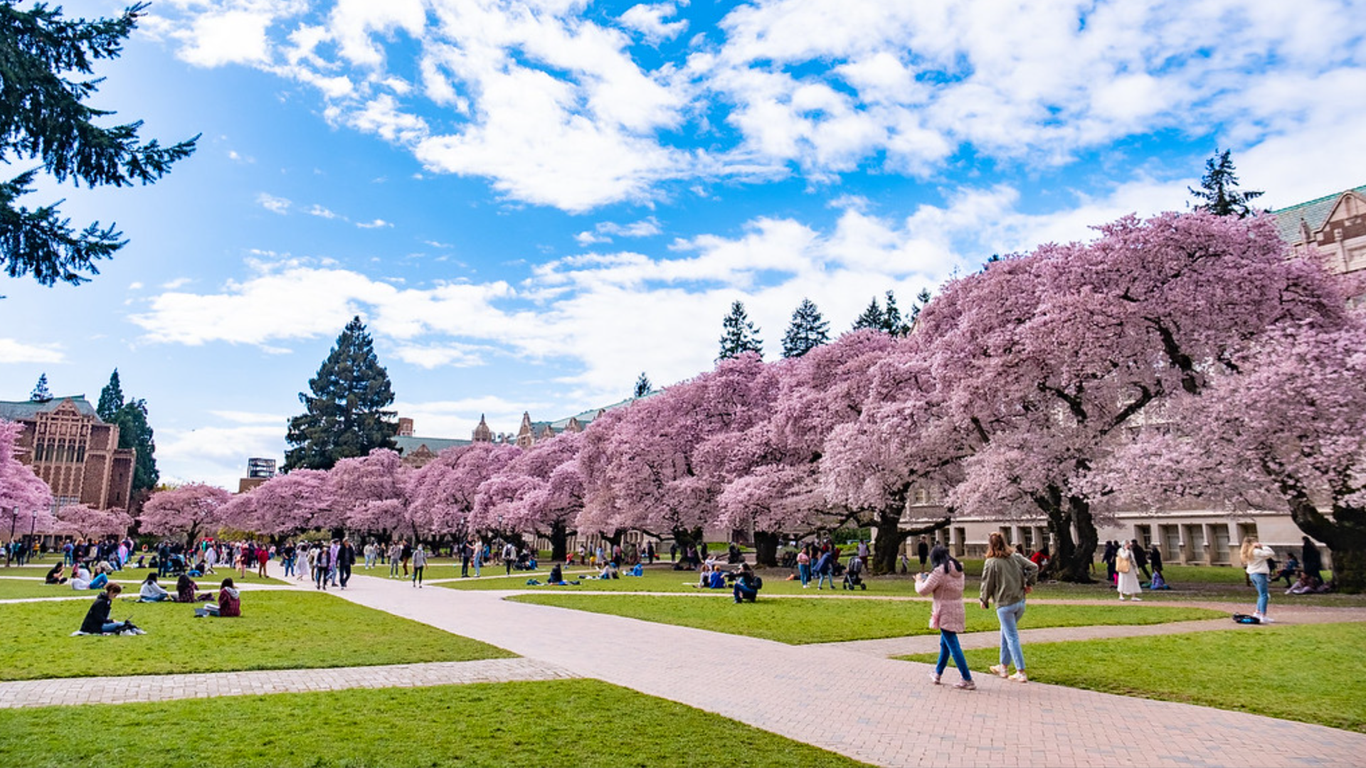 University of Washington ranks among most beautiful college campuses