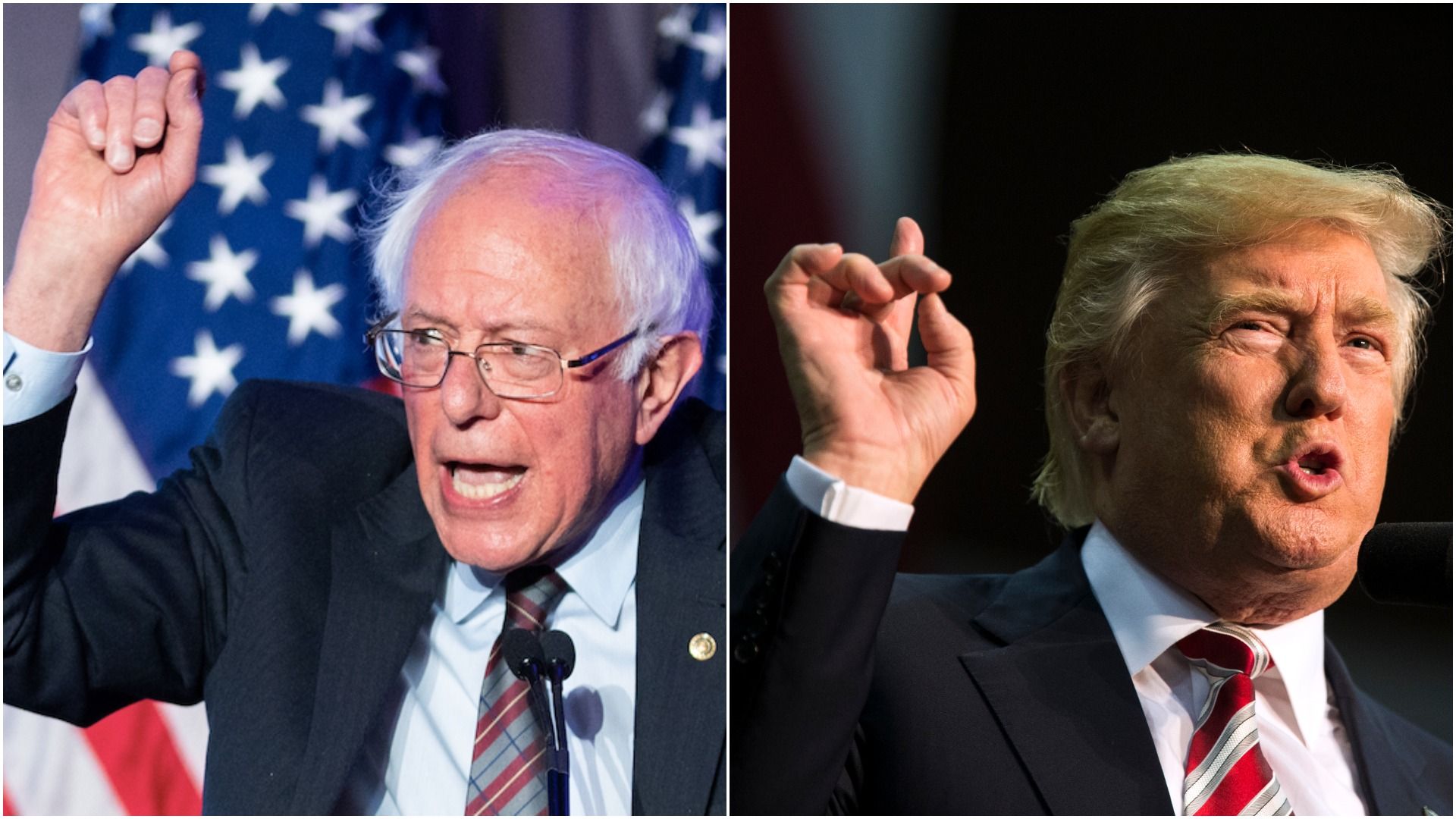 A split photo featuring Sanders and Trump at rallies