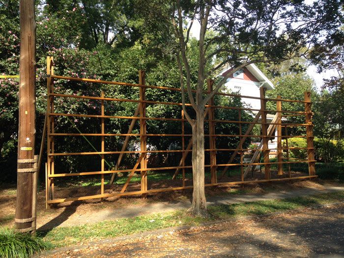 Elizabeth-Pumpkin-Wall-Empty