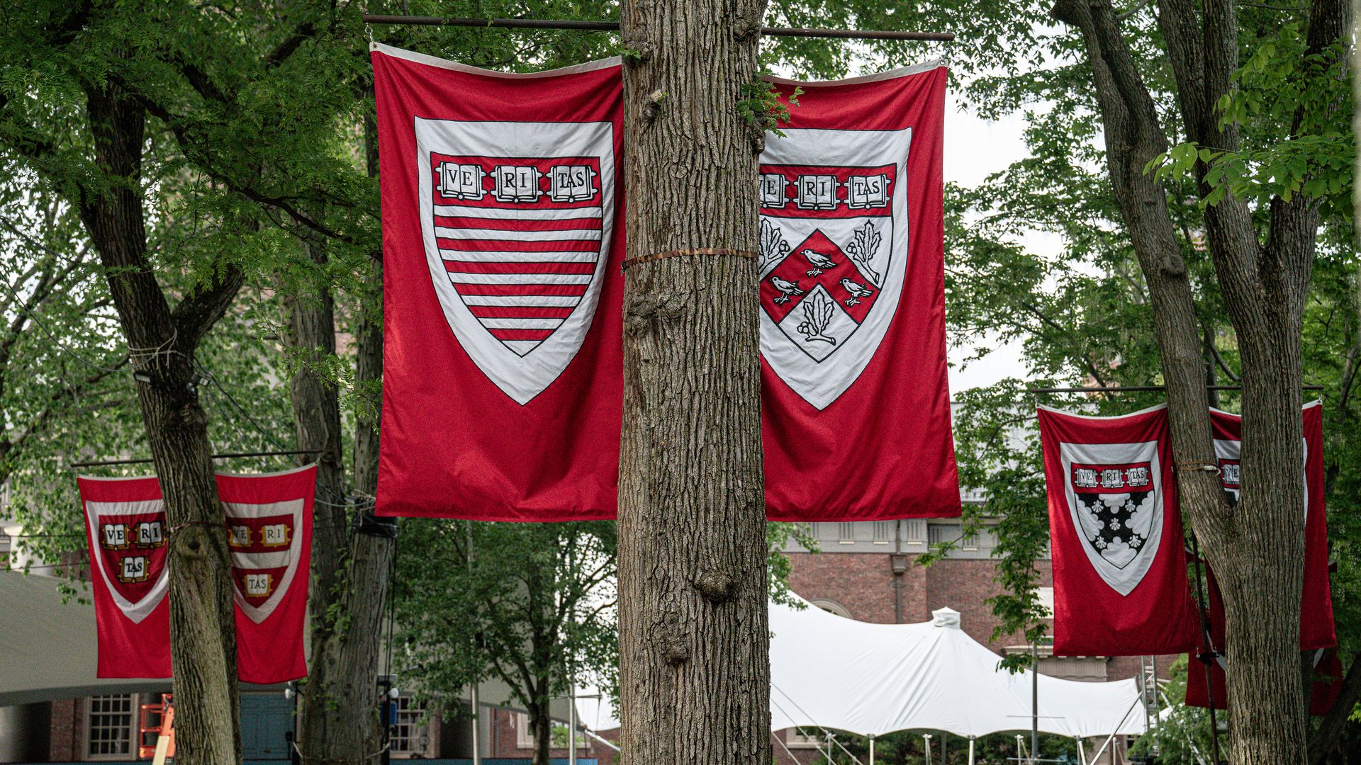 A photo of the Harvard University campus on May 24. 