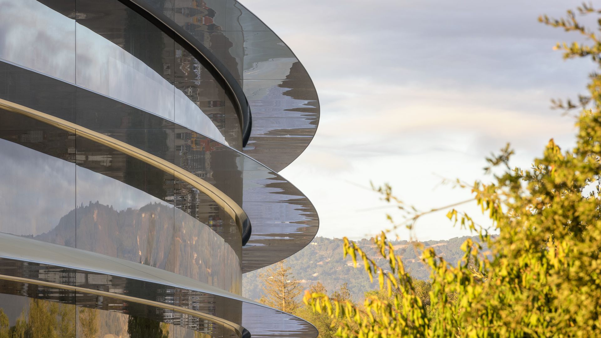 Side outside view of Apple's new headquarters with trees in background