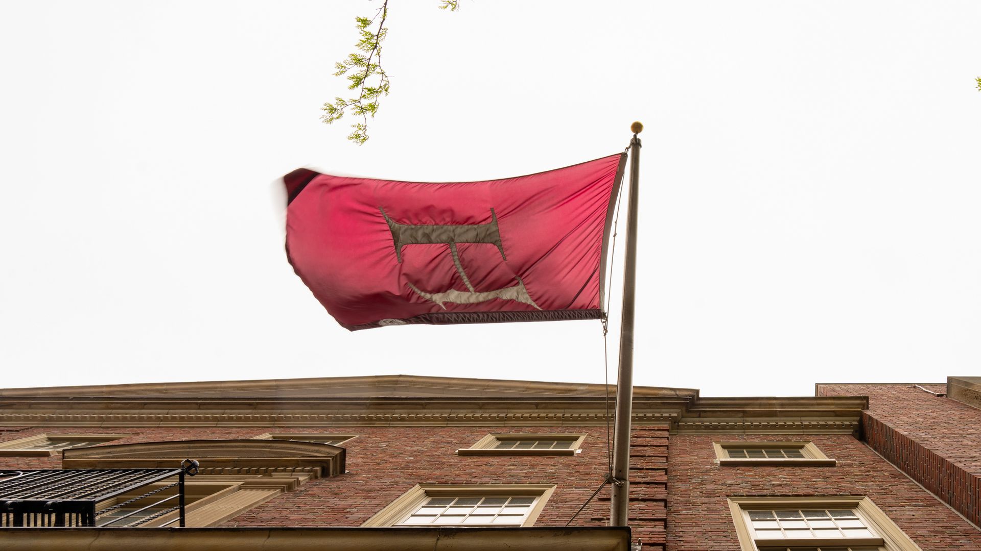 A red Harvard flag with a gold "H" blows in the wind on the university's campus.