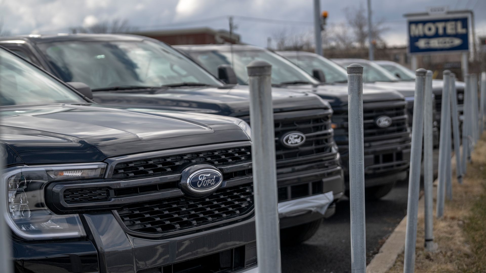 Ford trucks lined up on a lot.