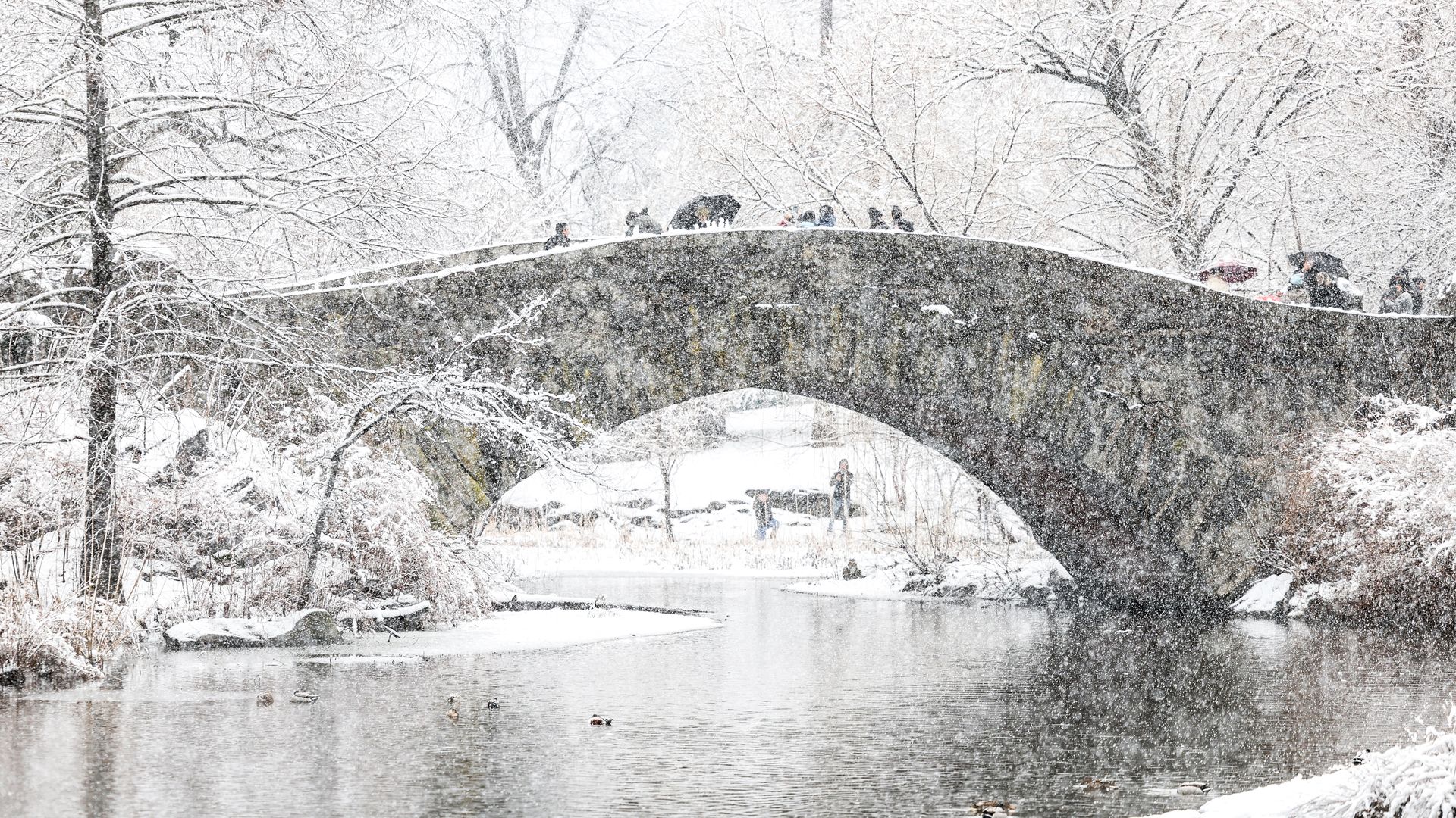 People walking through snow in Central Park on Feb. 13.
