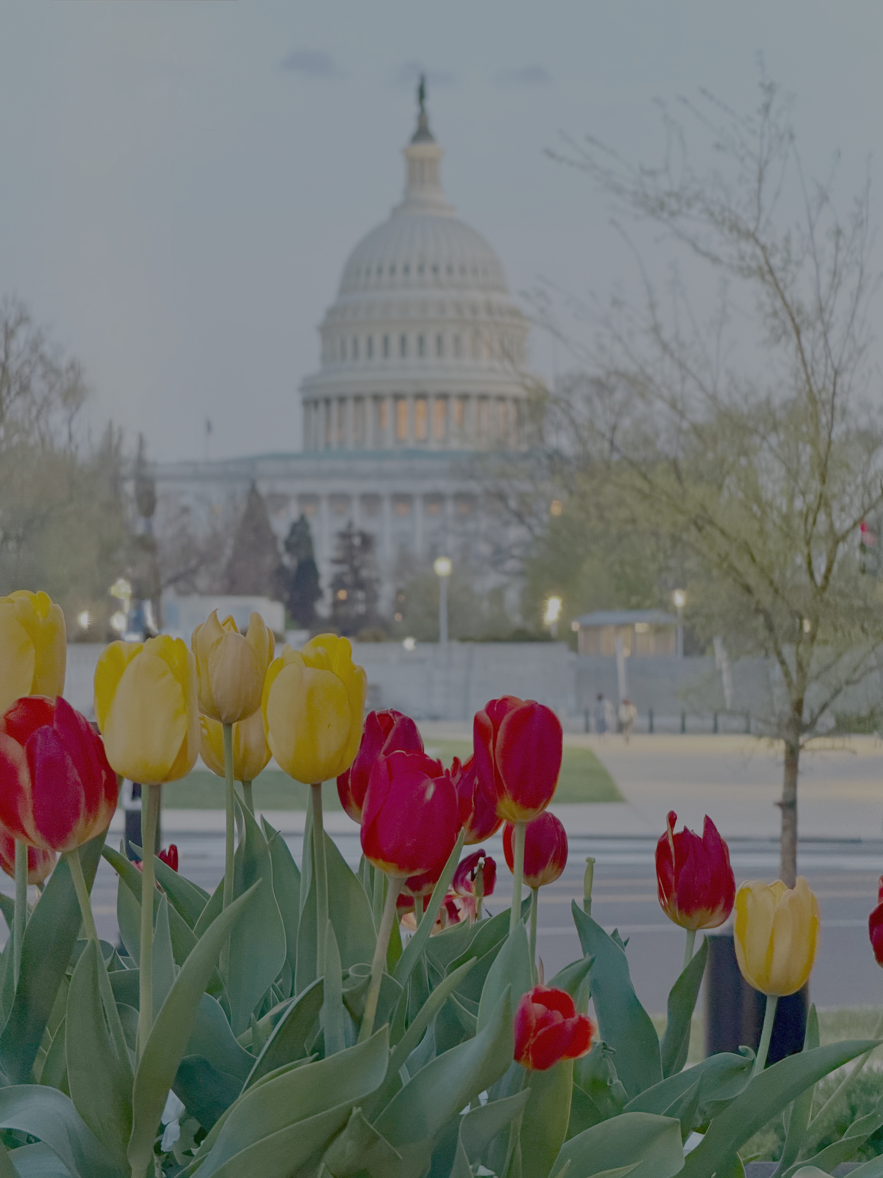 Photo: Scott Jennings