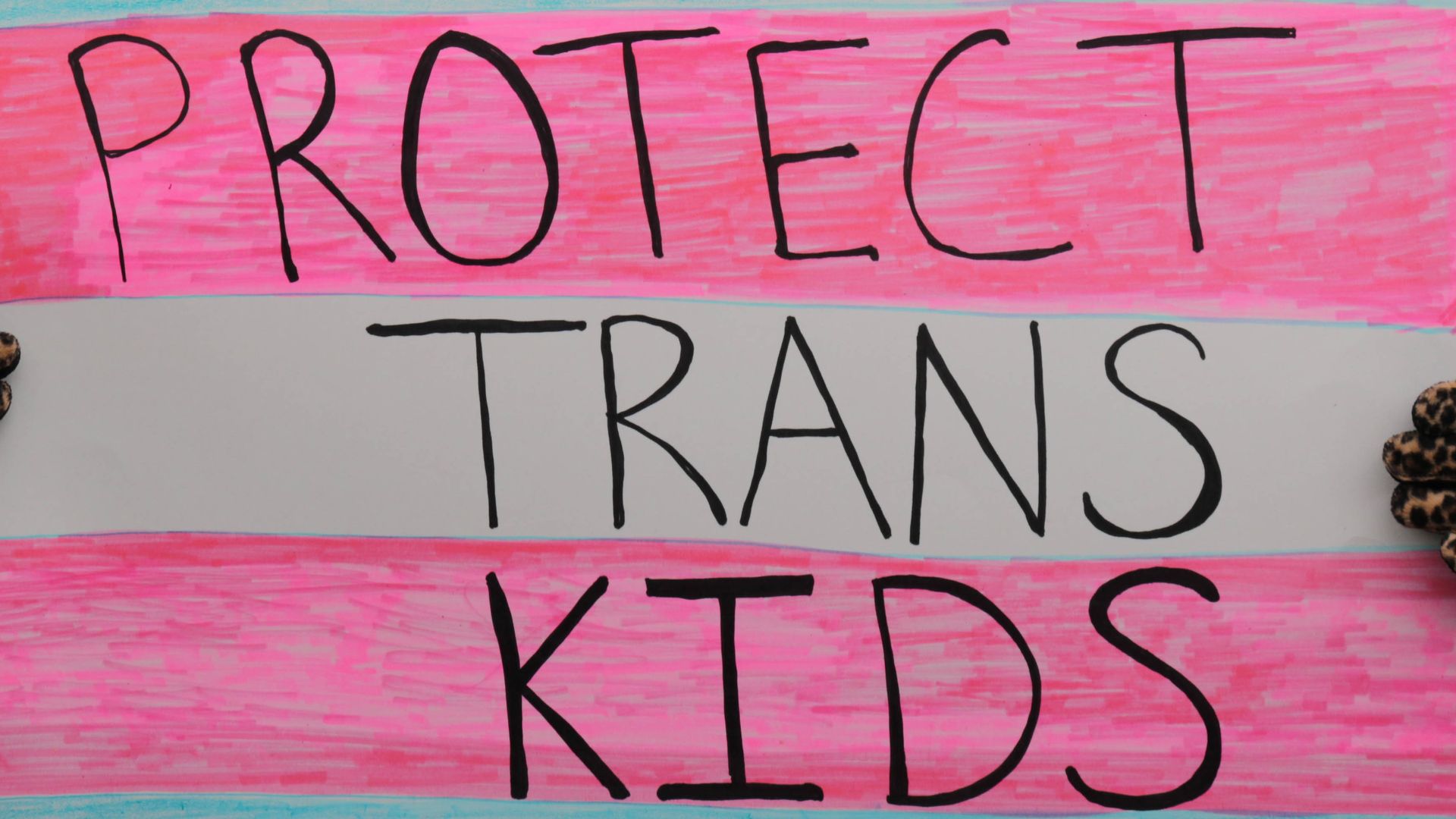 Image of a sign saying "Protect Trans Kids." 