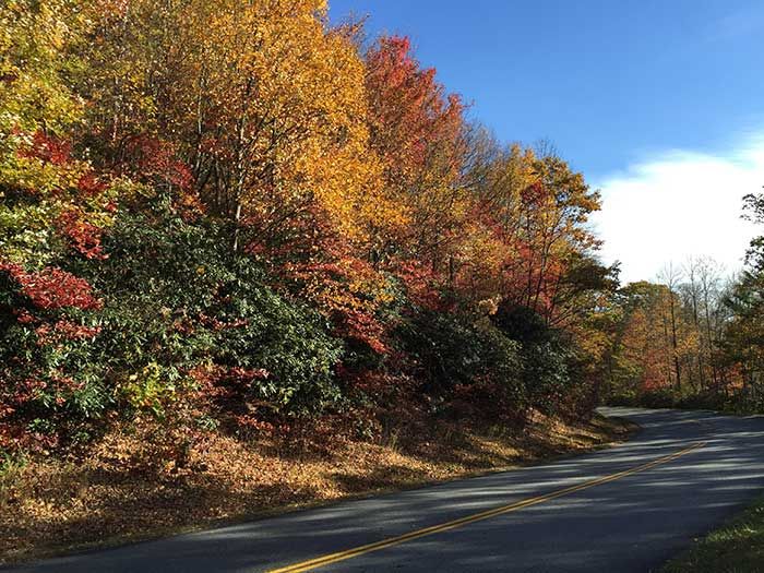 blue-ridge-parkway