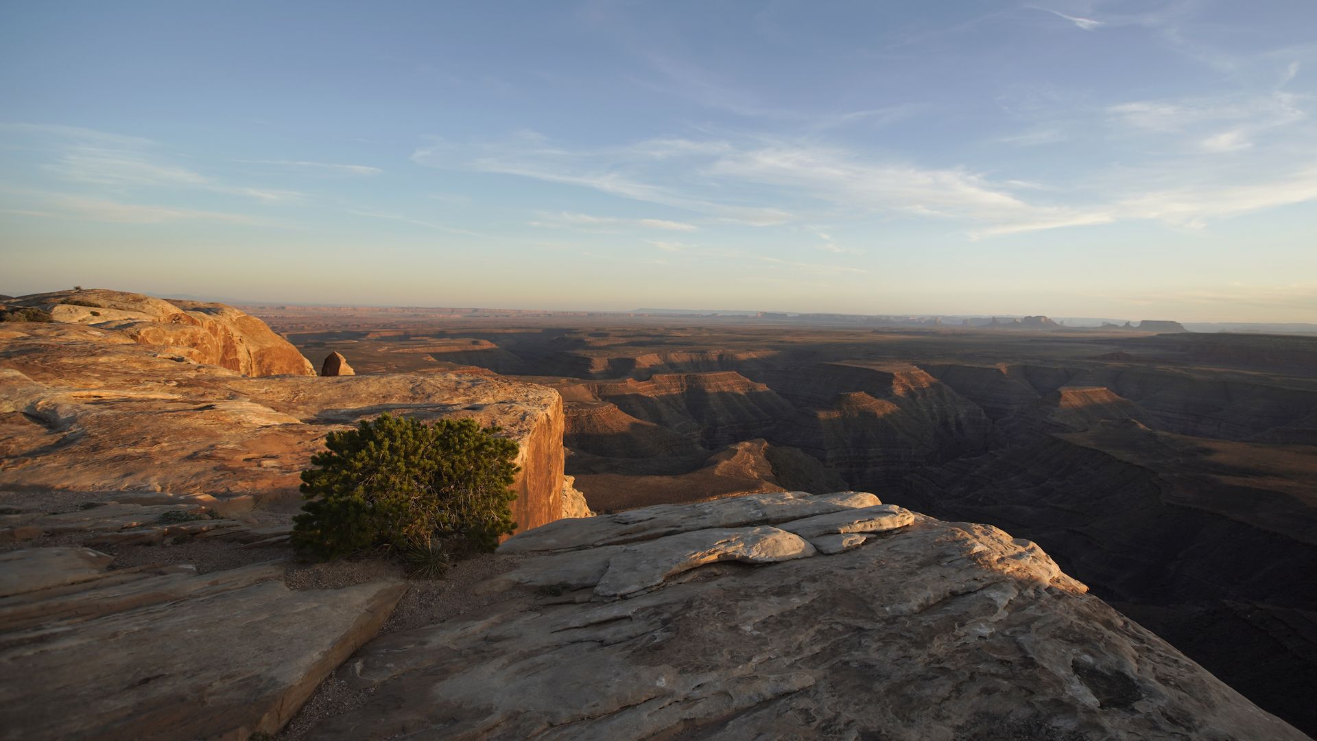 A rocky overlook at Bears Ears National Monument in Utah, as the sun is low.
