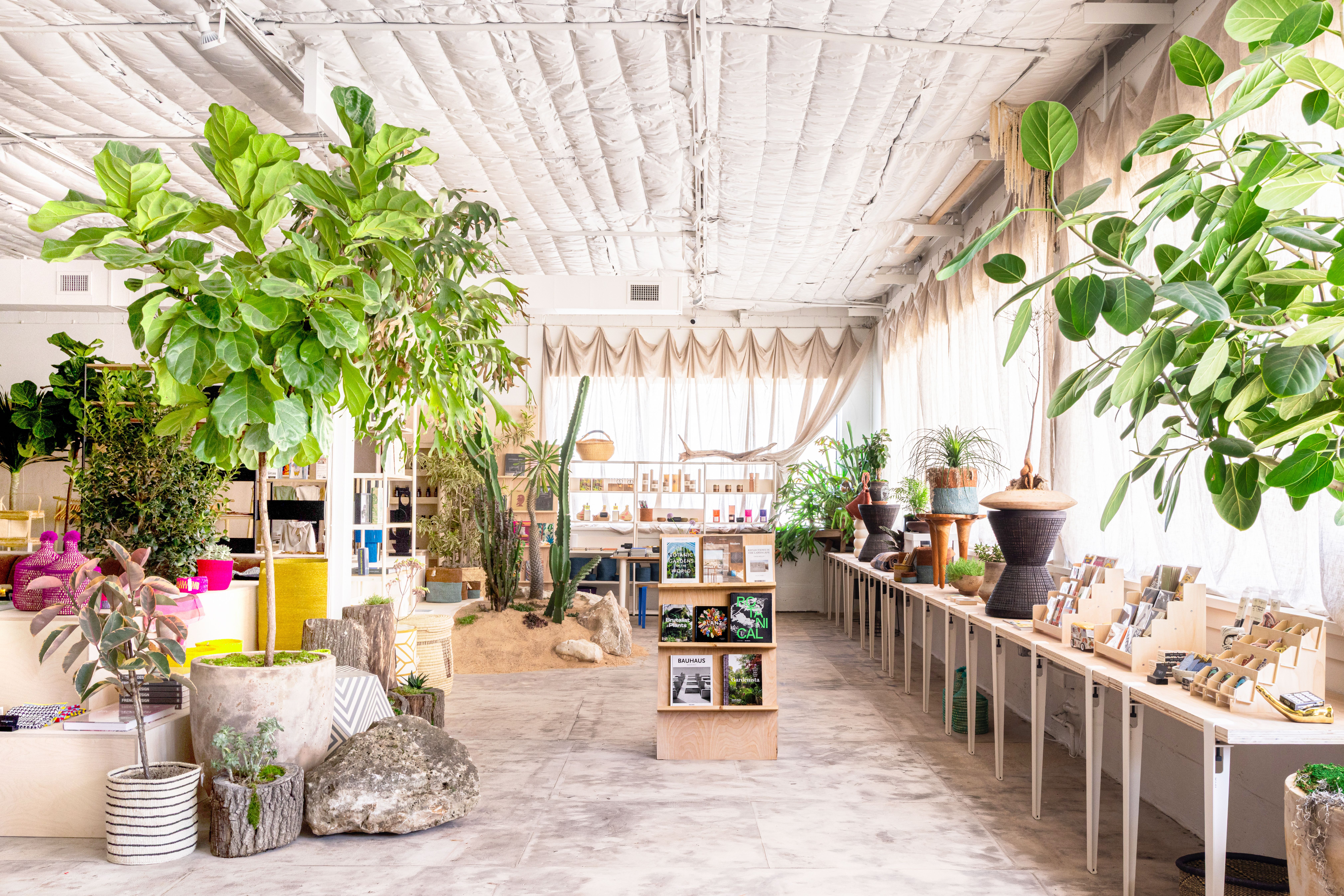 pet friendly indoor plants Pet Friendly Houseplant Subscription Box main image 0
