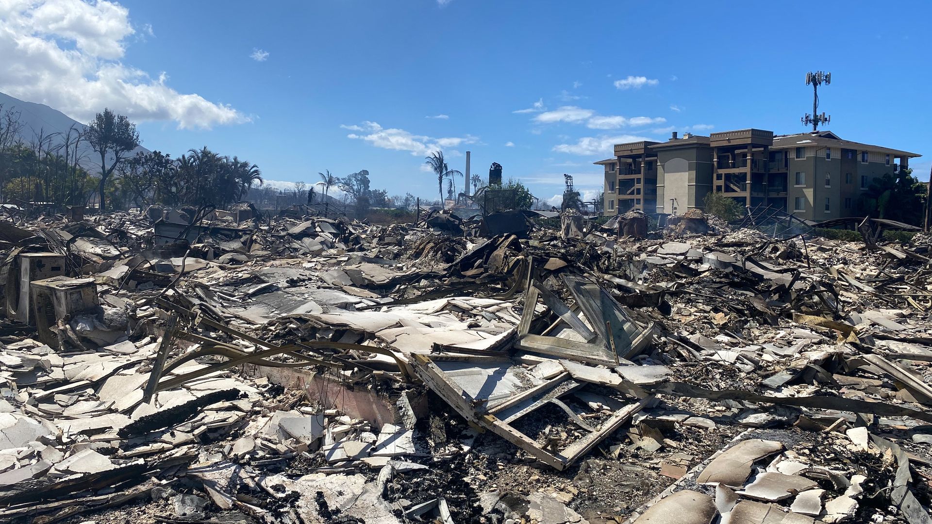An area of a town completely destroyed by wildfire.