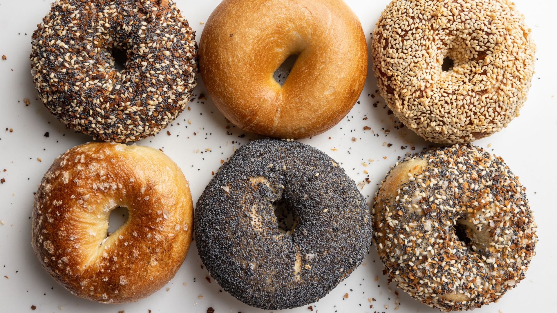 Six bagels on a white surface: top row left an everything bagel, middle plain, right sesame; bottom row left a flour-dusted plain bagel, middle a poppy-seed bagel, right a sesame-seeded bagel.