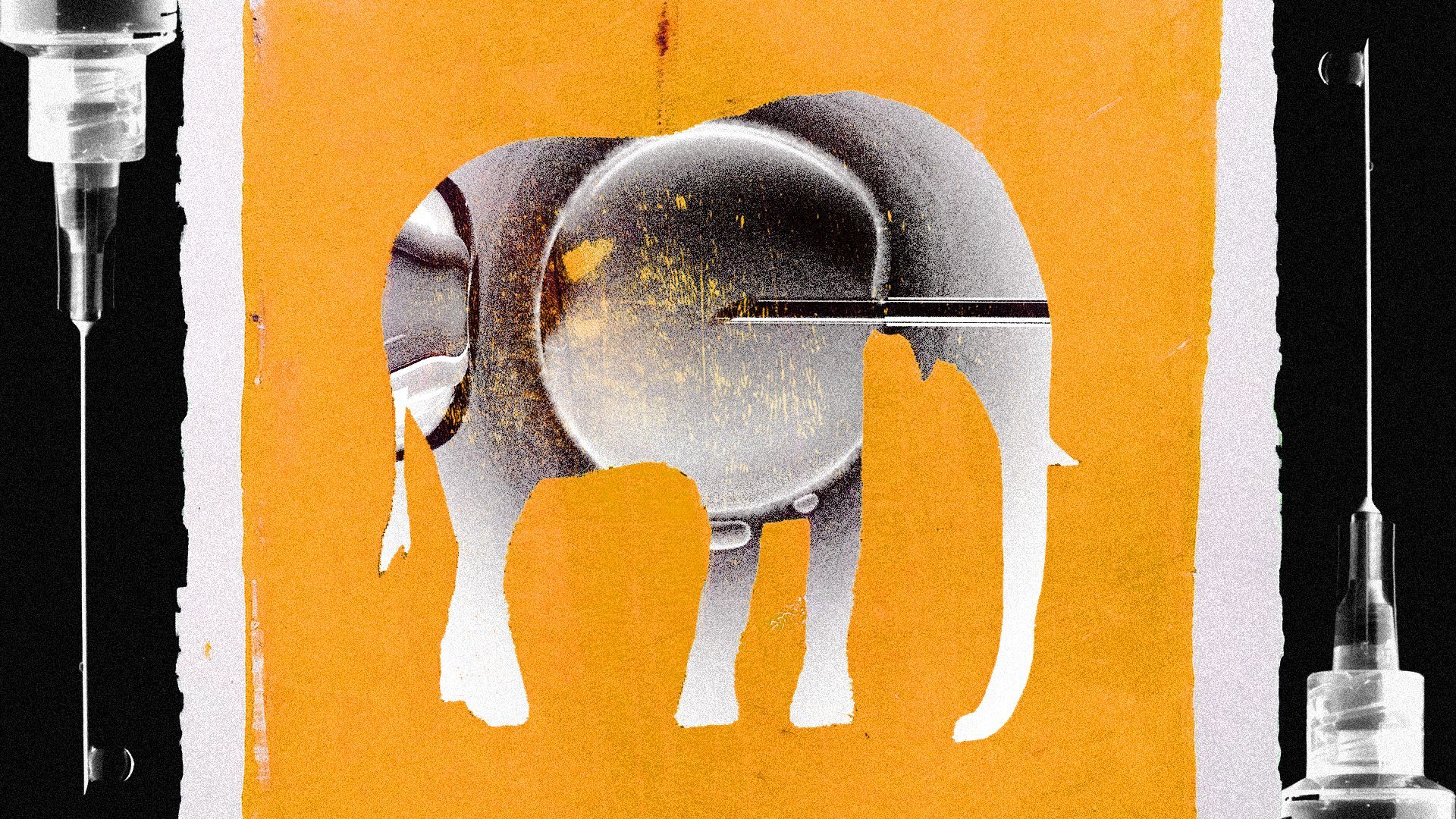 Illustration of an in vitro procedure within the silhouette of an elephant flanked by syringes.