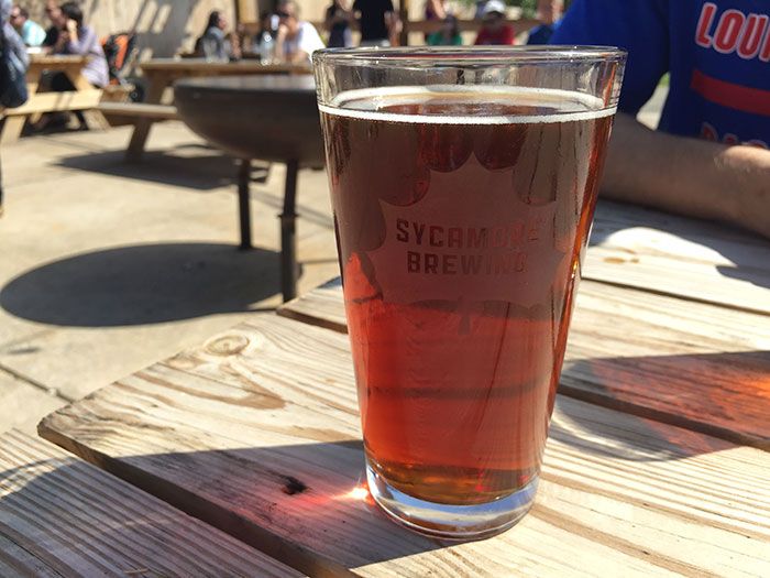 Sycamore Gourd Have Mercy