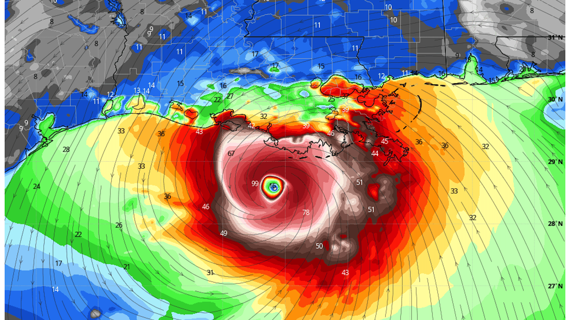 Map showing the winds associated with Hurricane Ida near Louisiana.
