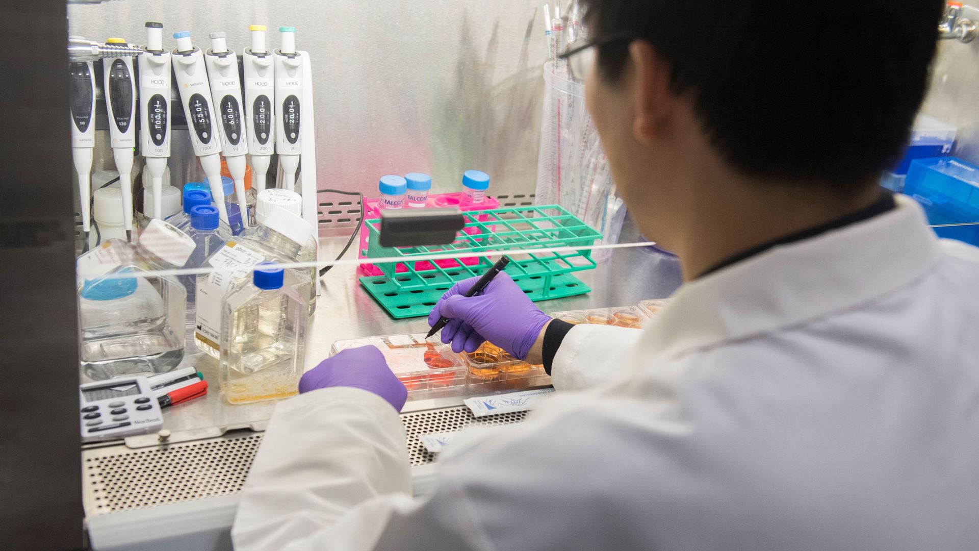 In this image, the back of a scientist's head is visible as he arranges research materials and lab tools on a shelf. He's wearing a white lab coat.