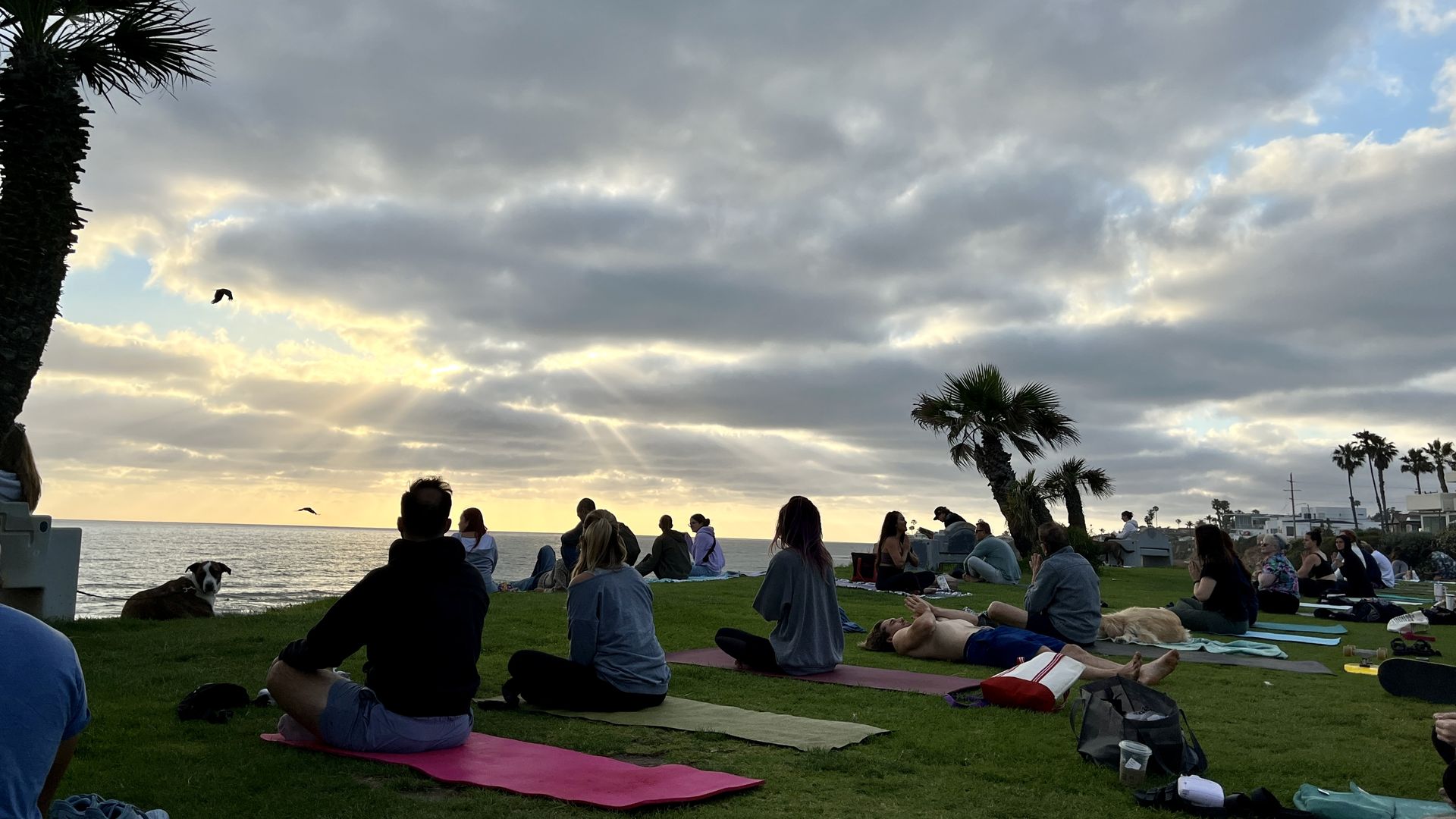People sit on yoga mats at a grassy park overlooking the ocean at sunset.