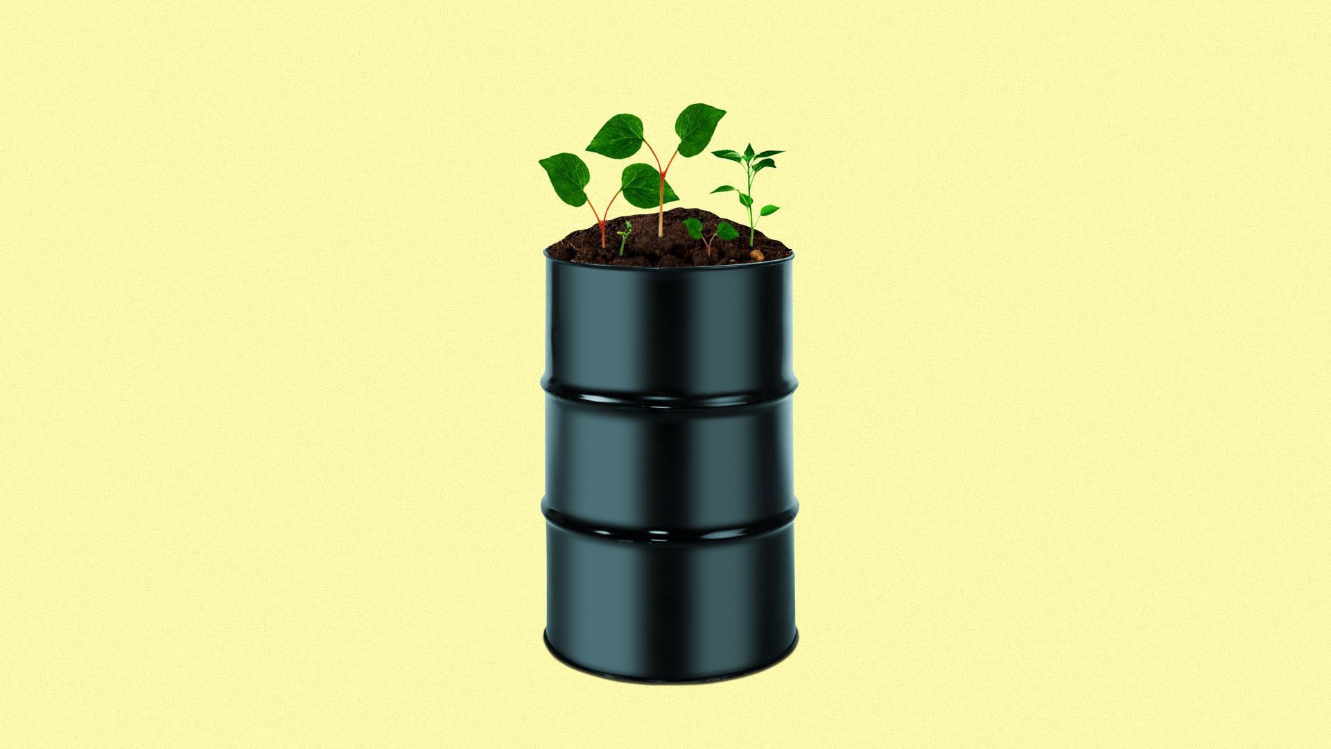 Illustration of plants sprouting from an oil barrel