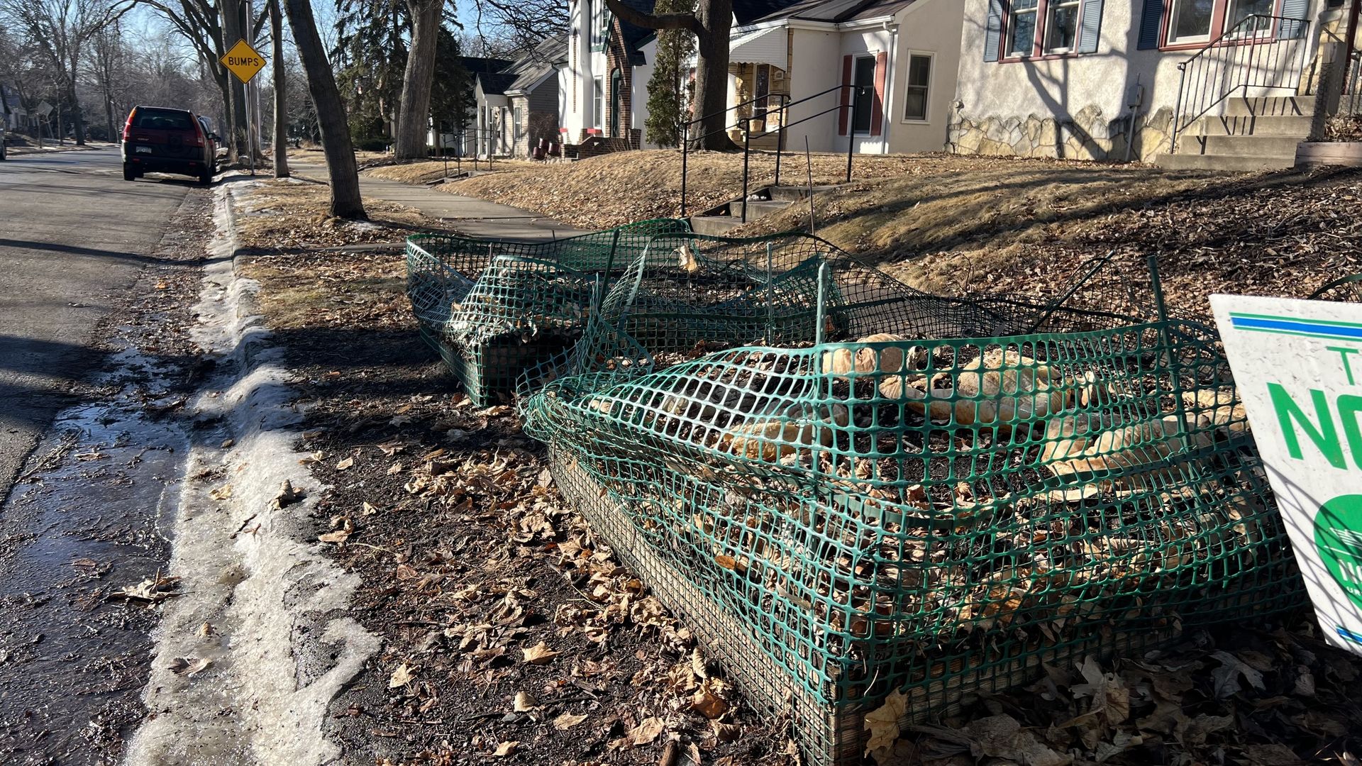 A raised-bed planter box in the boulevard strip between the curb and sidewalk along a residential city street