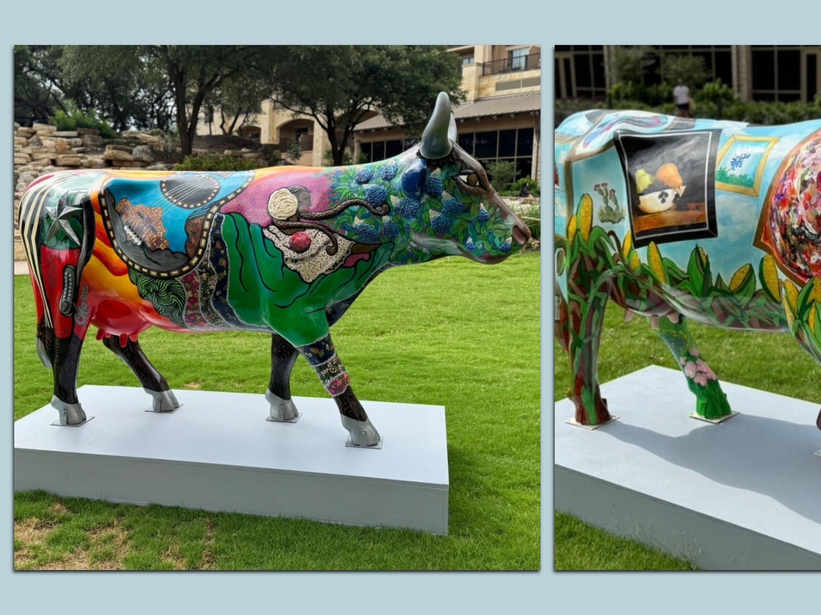 Life-size cow art takes over San Antonio - Axios San Antonio