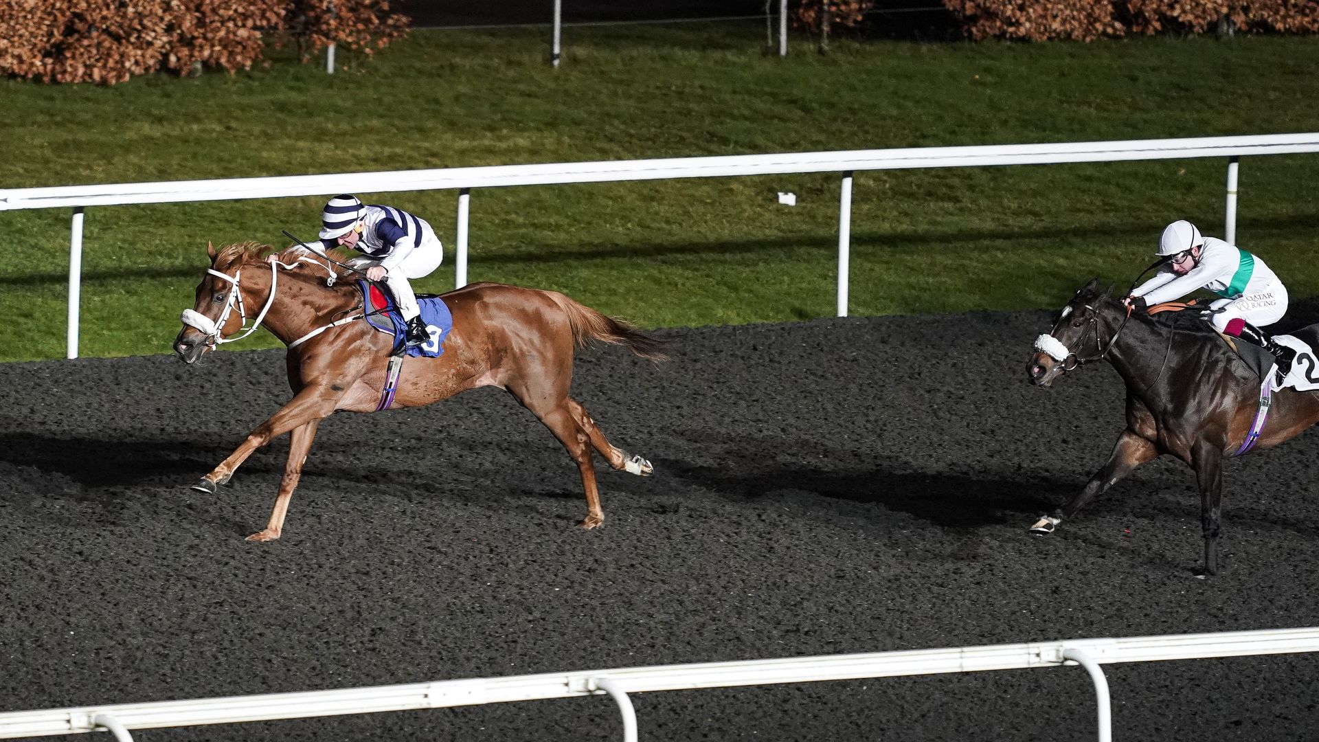 Two jockeys race