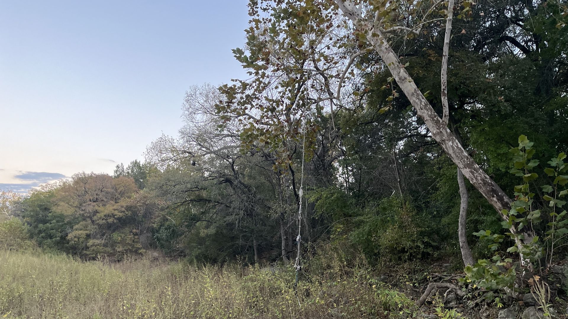 A rope dangles from a tree over a dry creekbed.