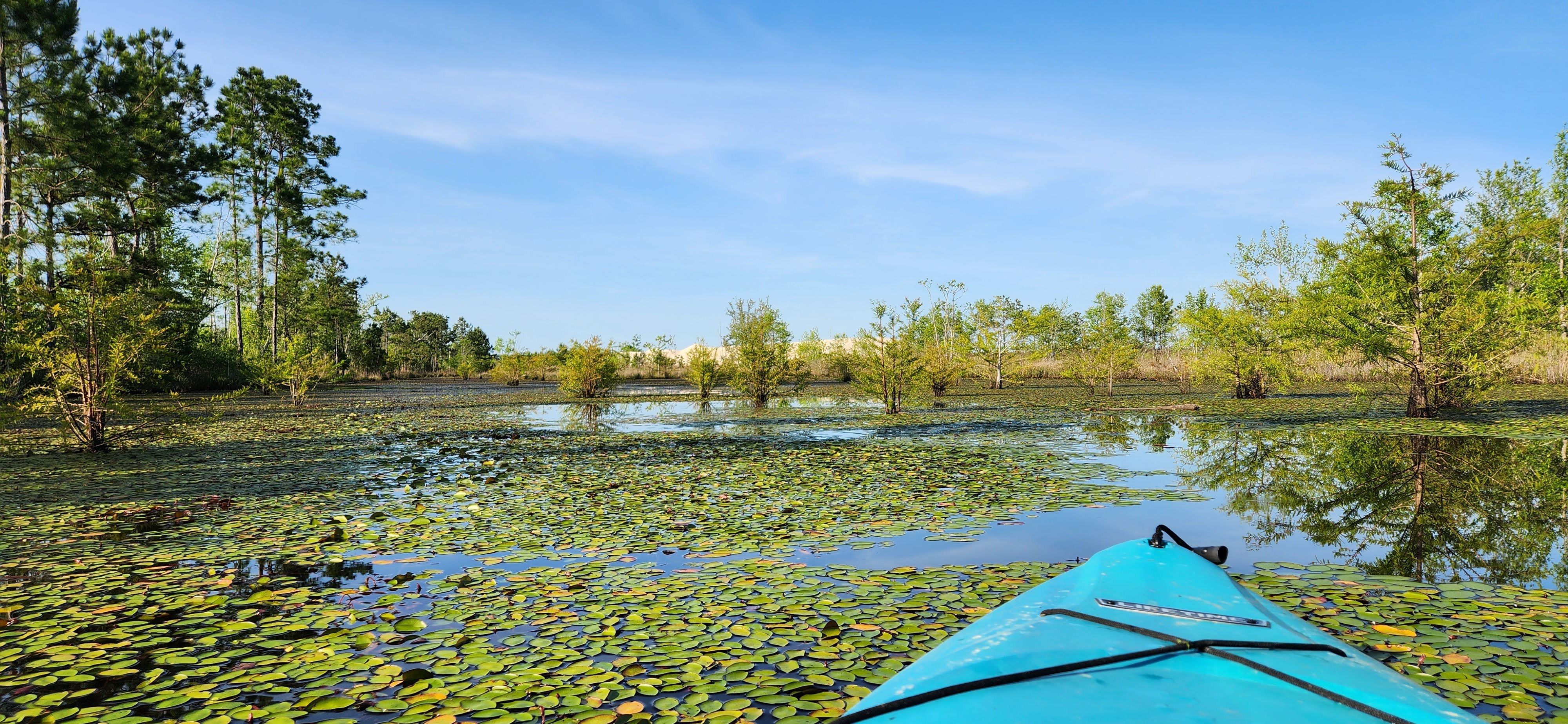 A marshy area is viewed overtop a kayak.