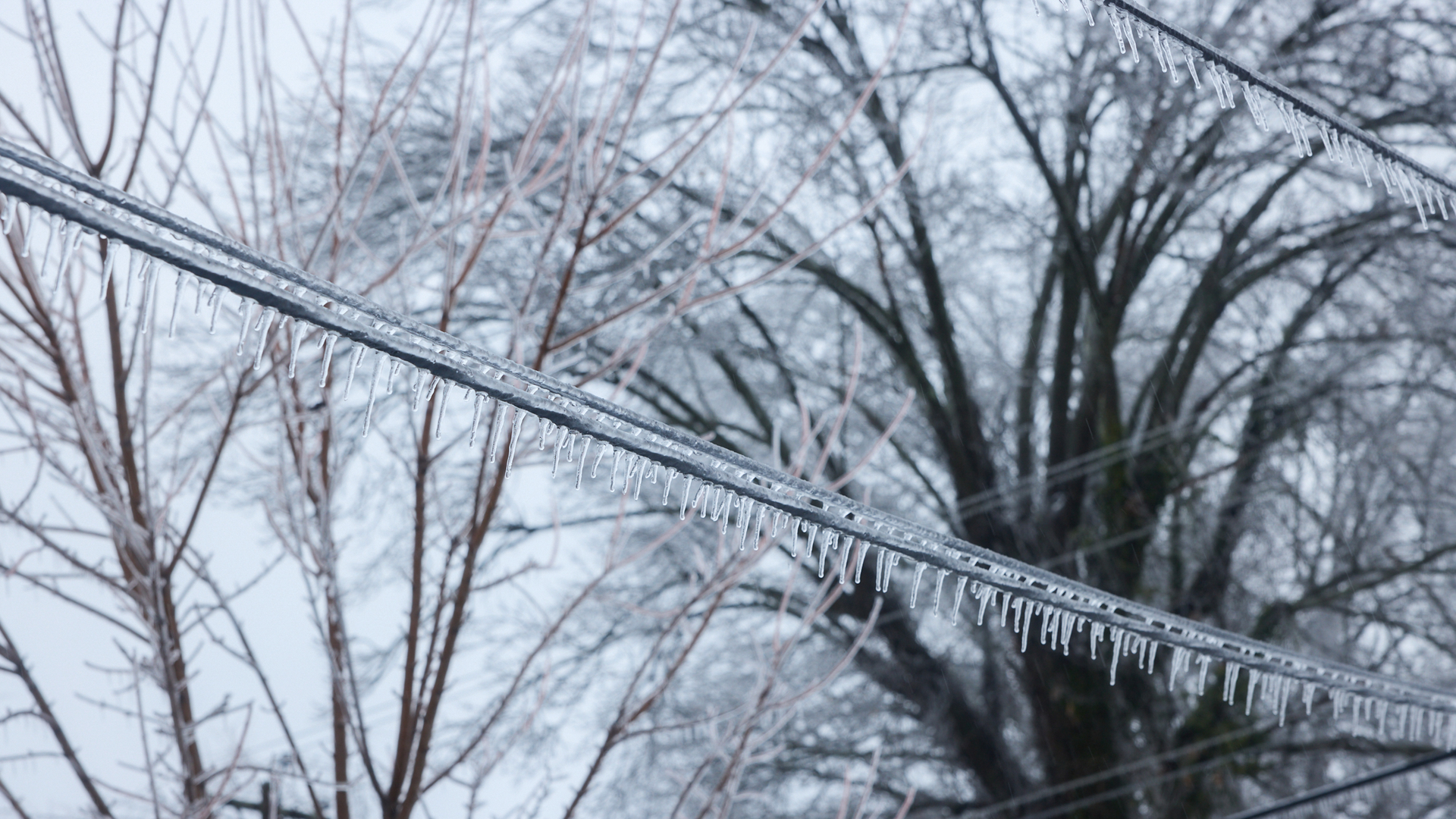 Power line with ice in Nashville