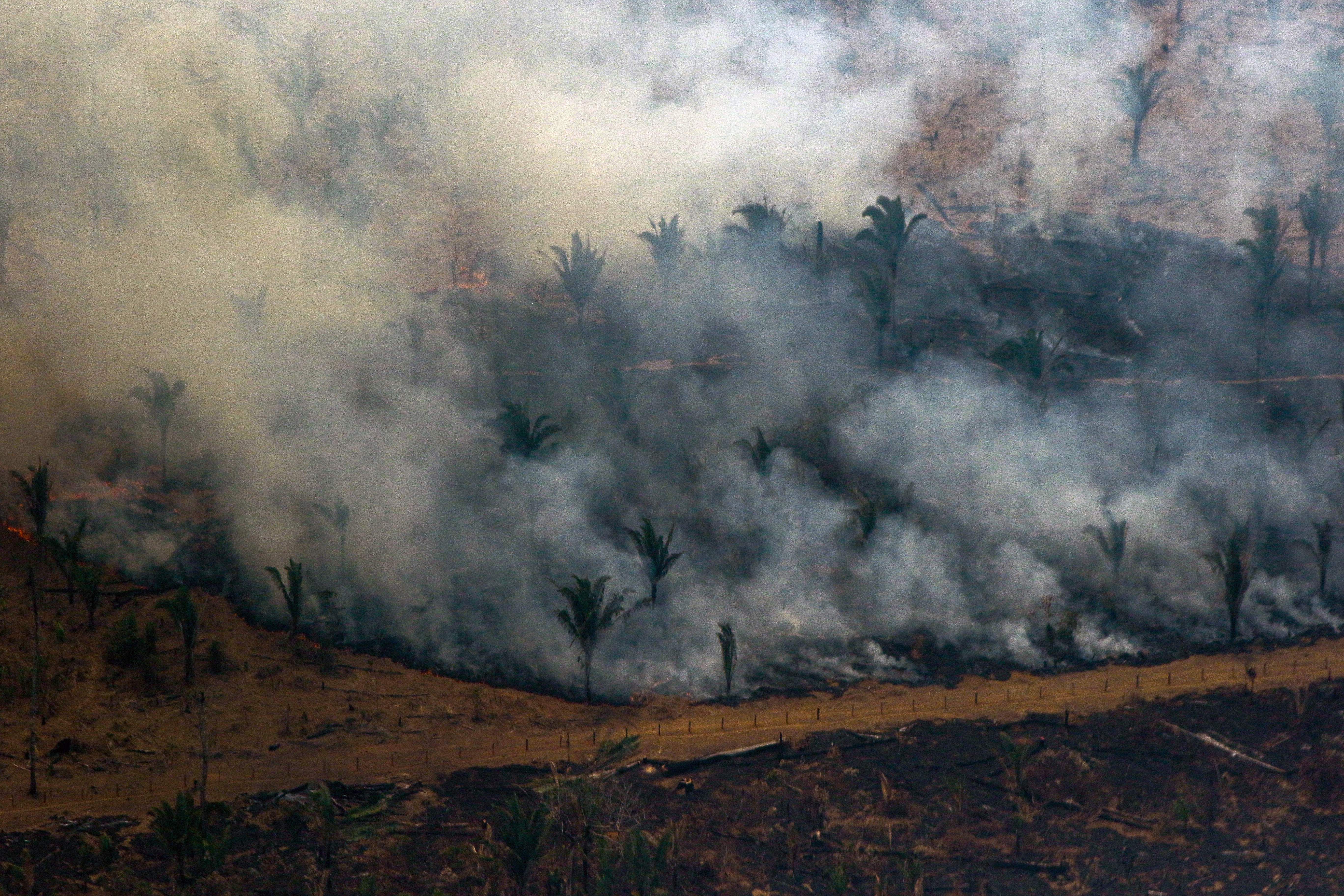 Aerial view showing smoke billowing from a patch of forest being cleared with fire in the surroundings of Boca do Acre, a city in Amazonas State, in the Amazon basin in northwestern Brazil