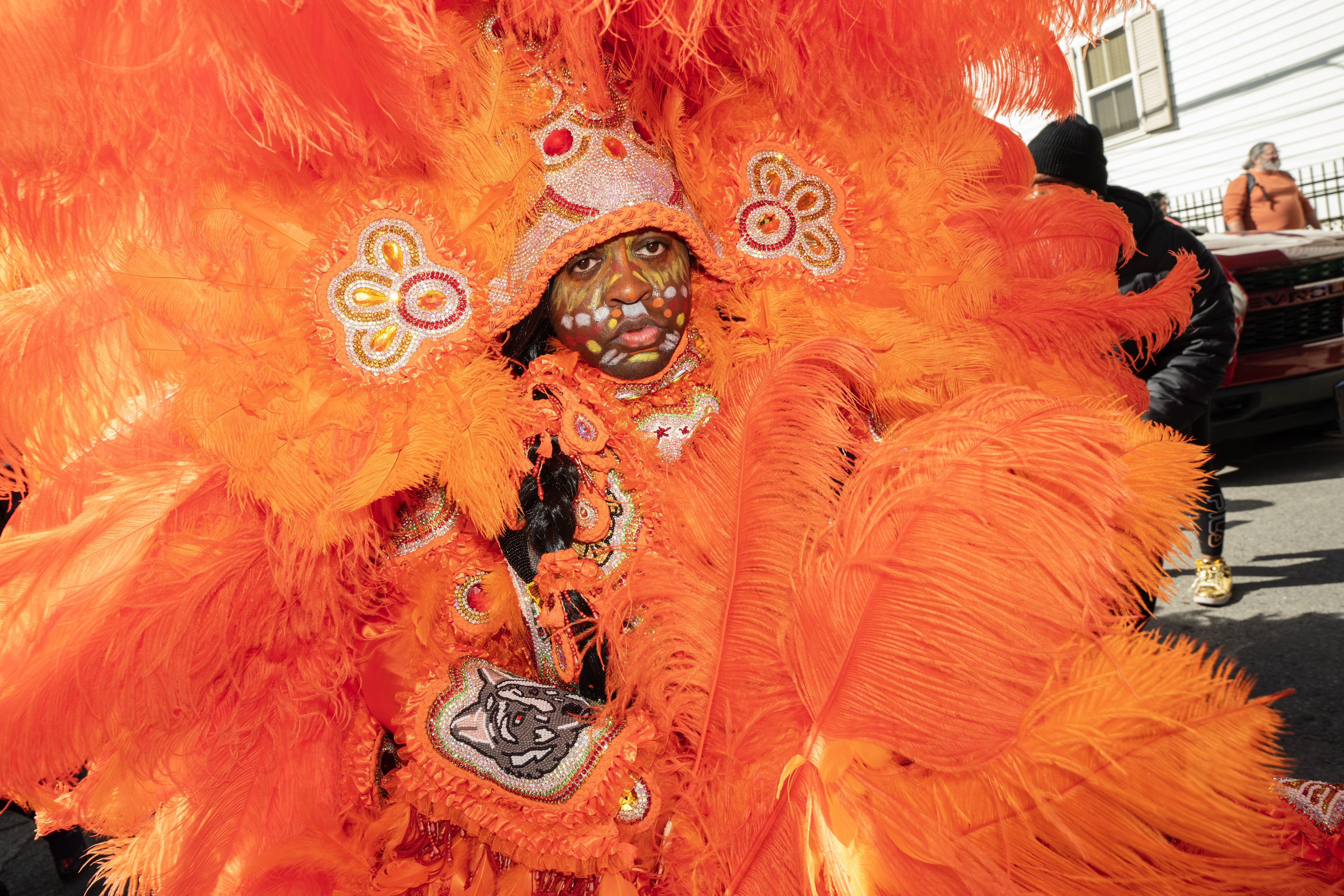 Photo shows a Mardi Gras Indian in a colorful feathered suit