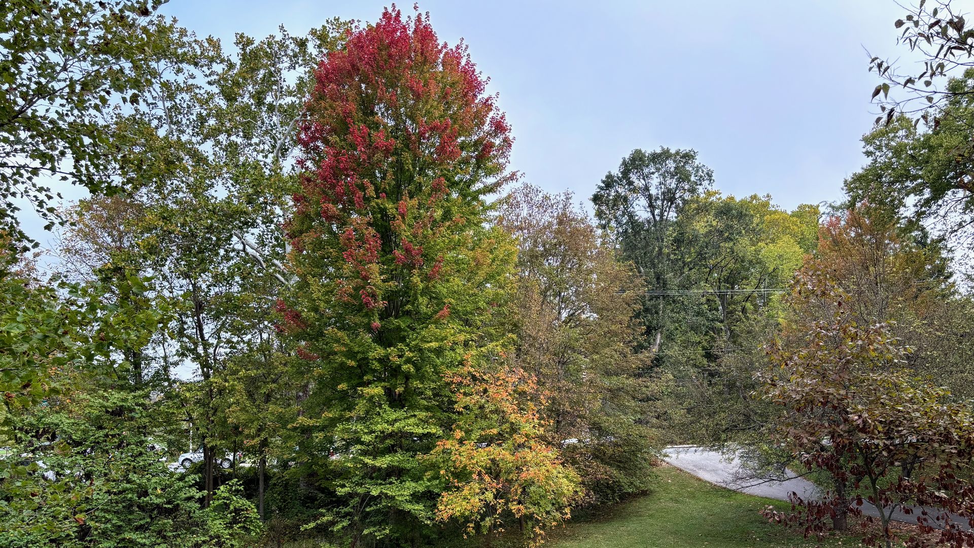 Green grassy park area with a wooden picnic table, surrounded by trees showing early fall colors with green, red, and orange leaves under a cloudy sky.