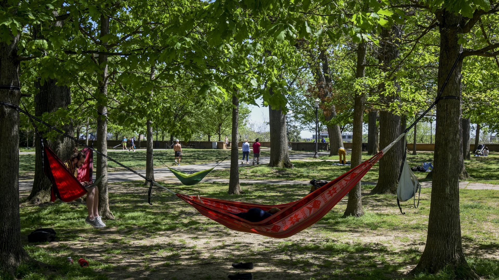 People lay in hammocks under tree canopy at Meridian Hill