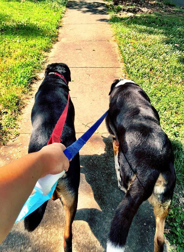 Photo by Maggie Ruff