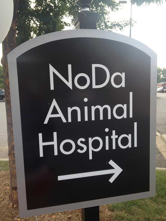 Photo by NoDa Animal Hospital via Facebook