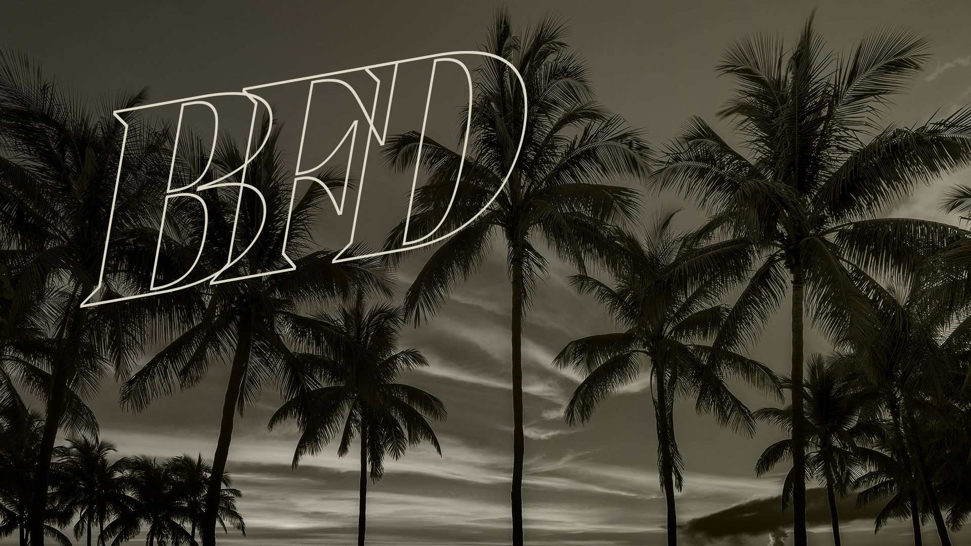 Photo illustration of a black and white image of palm trees in Miami, underneath a BFD logo
