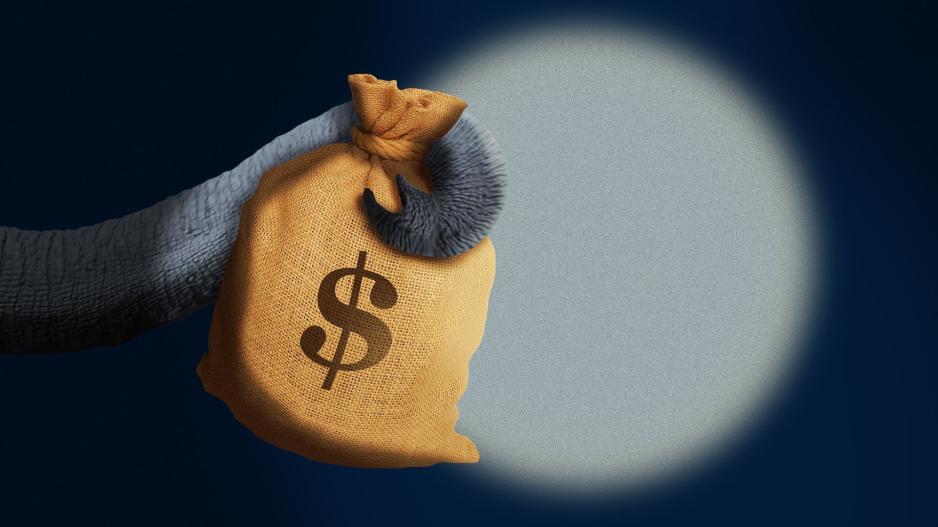 Illustration of an elephant trunk holding a bag of money with a light shining on it