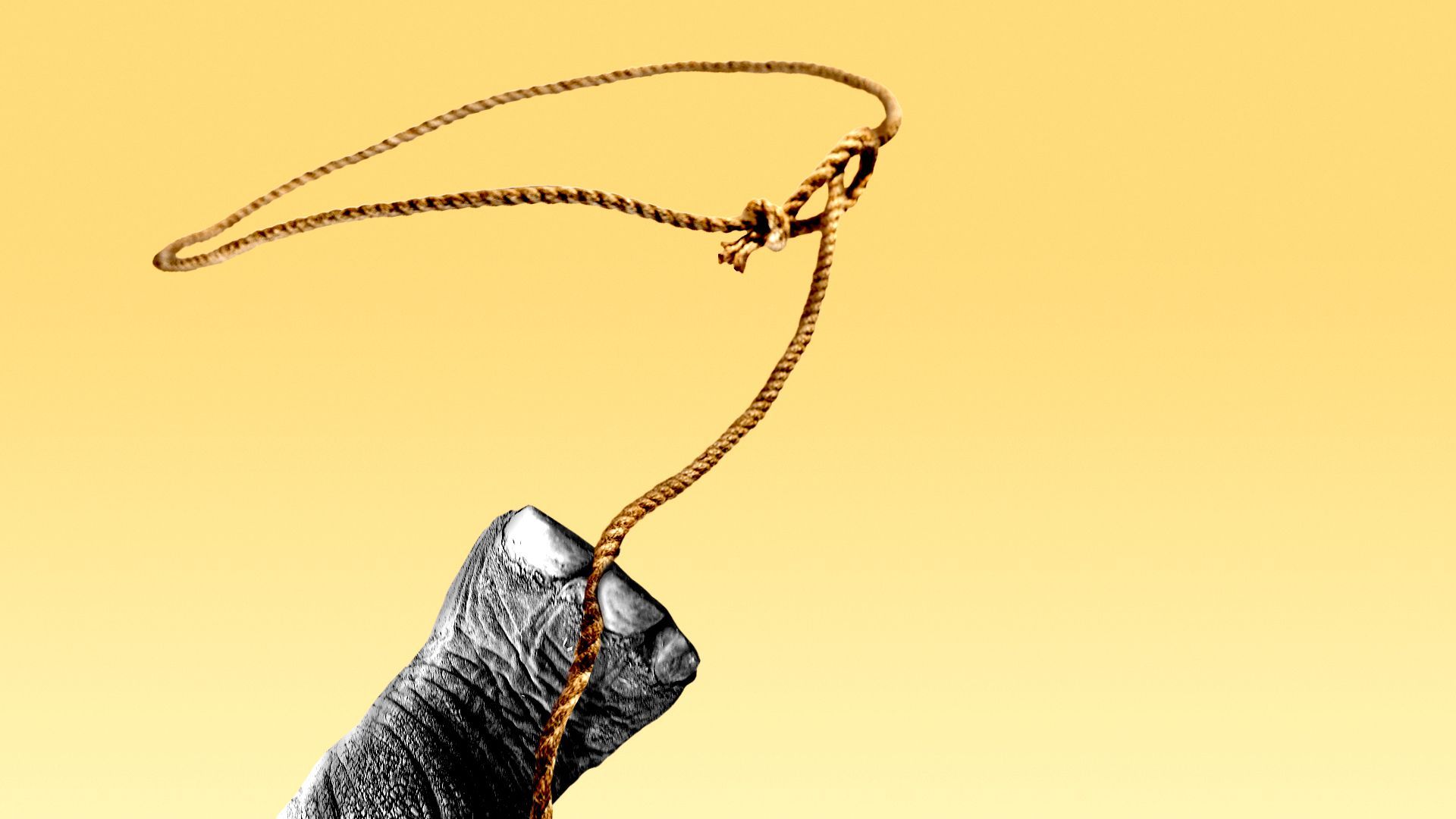 Illustration of an elephant foot holding a lasso and waving it in the air