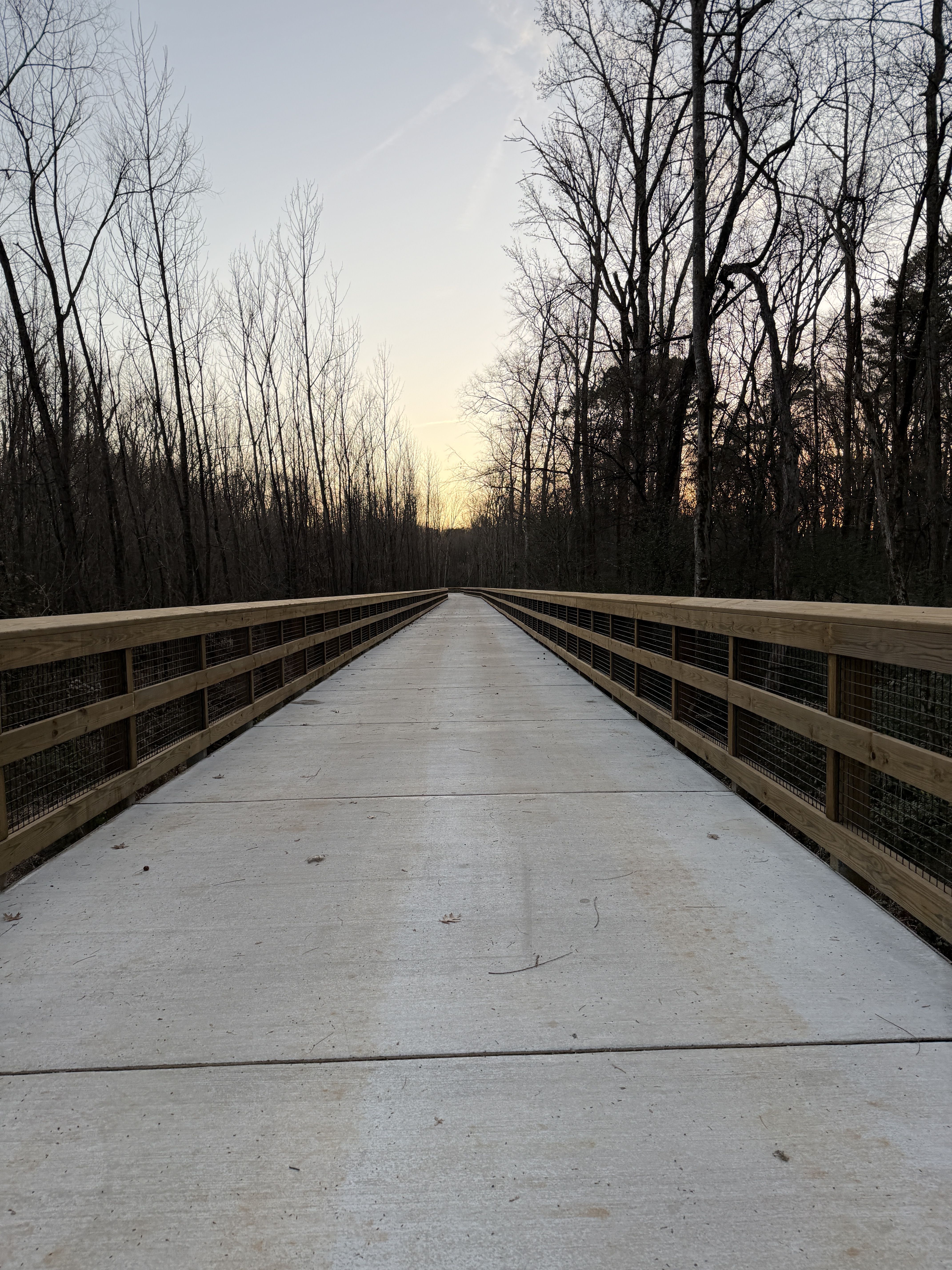 Straight concrete pathway with wooden railings on both sides through leafless forest trees at sunset with a clear sky.